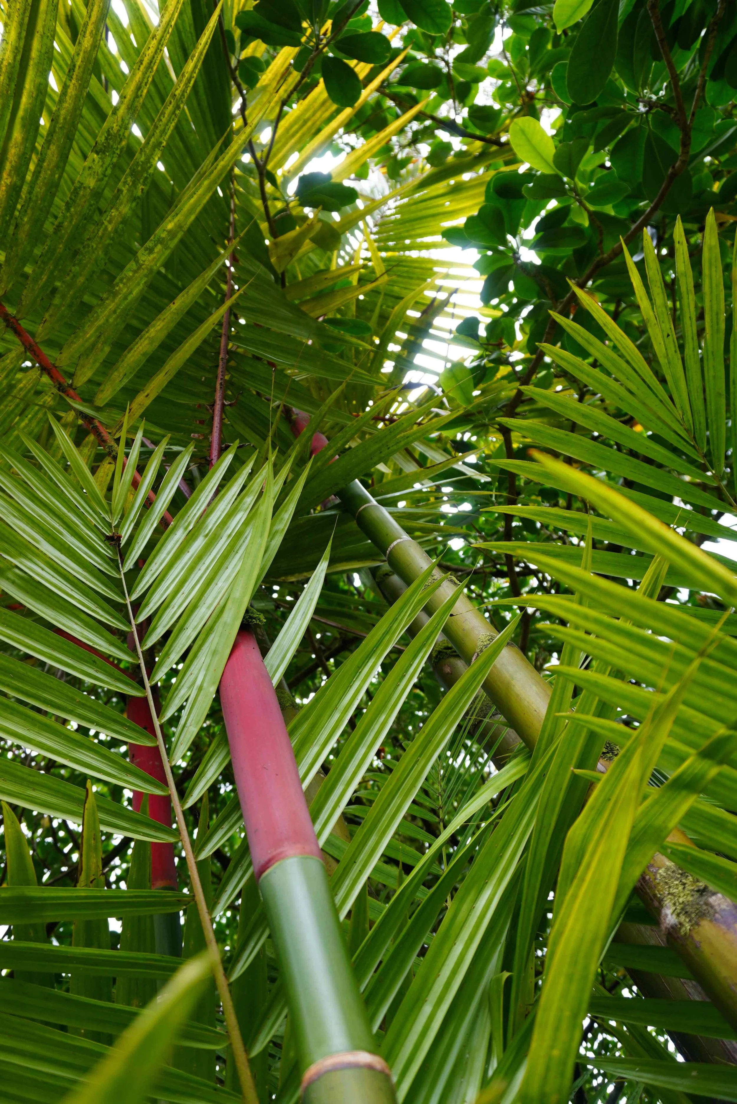 Retreat center Oahu.JPG