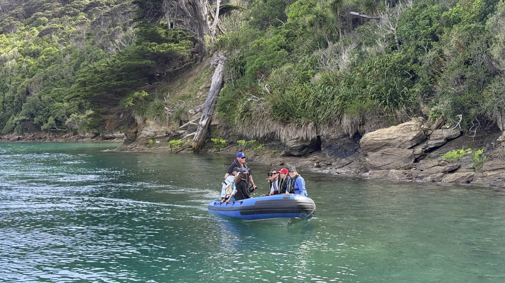 Screenshot 2025-12-30 at 8.57.12 am.png