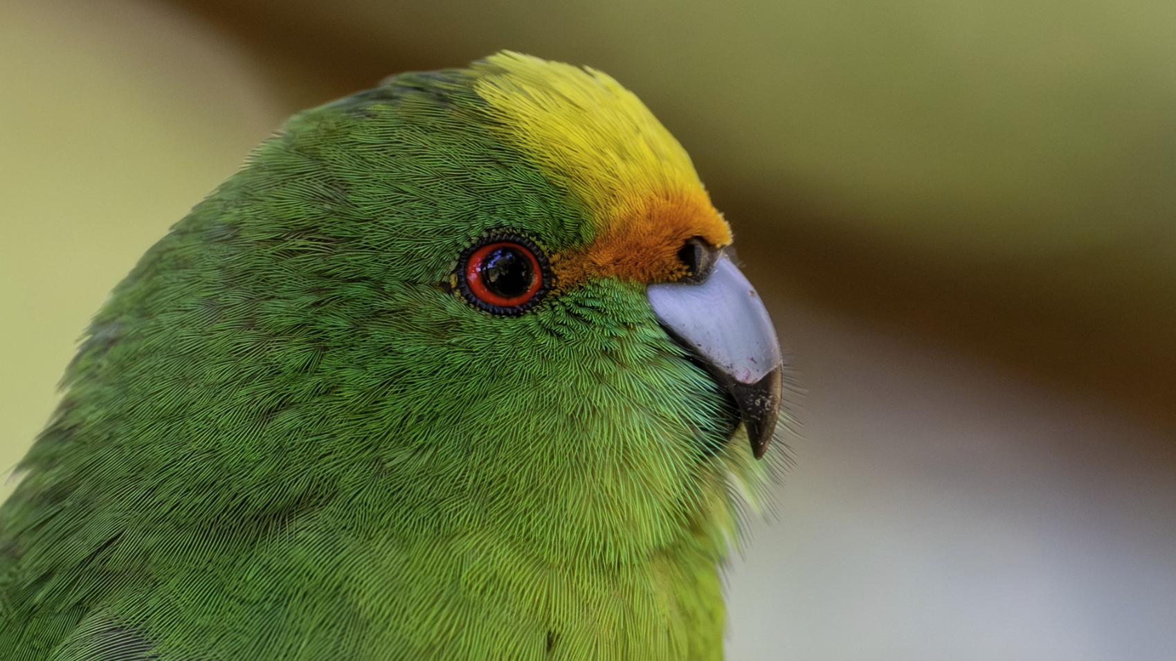 Screenshot 2025-12-30 at 9.00.24 am.png