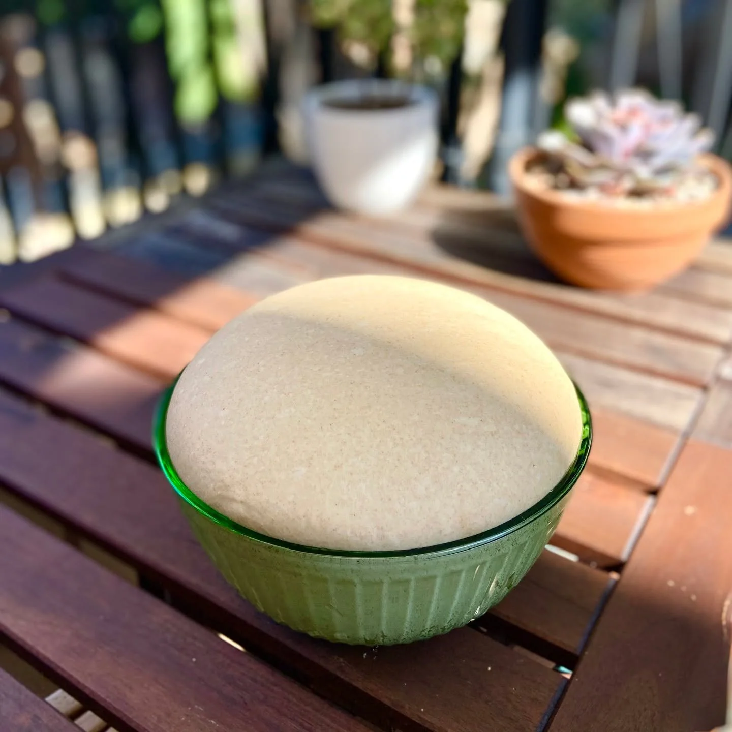 Happy dough 🌞 #sourdough #breaddough #fermentation