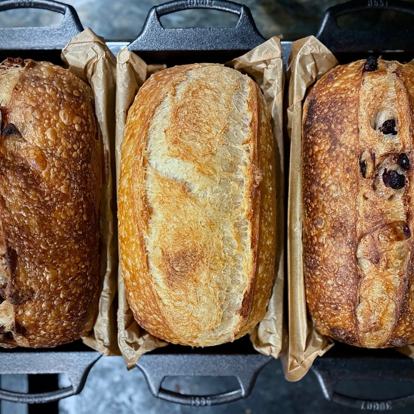 Sourdough #sourdough #bread #homebakery #freshlybaked #naturallyleavened