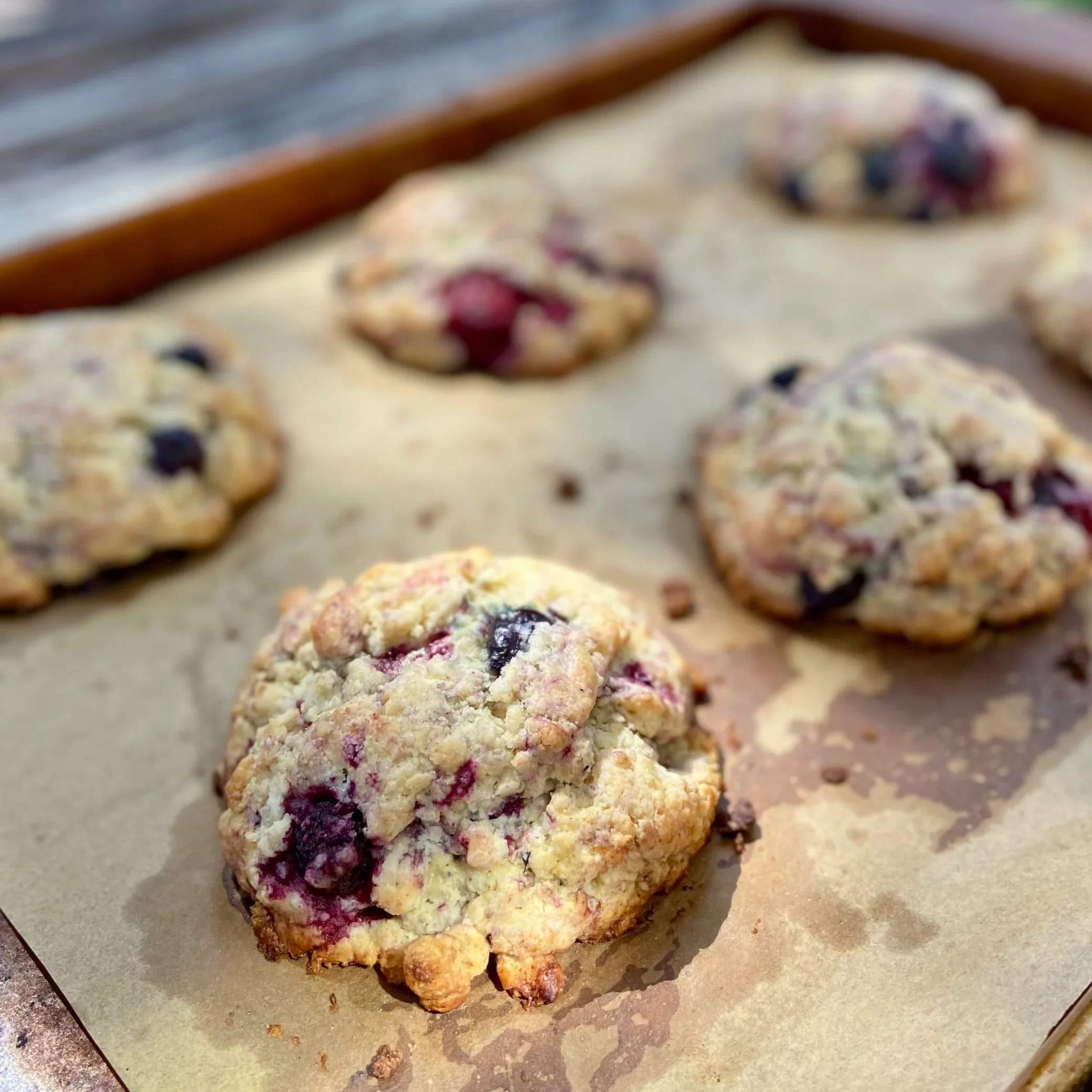 Blueberry Sourdough Scones