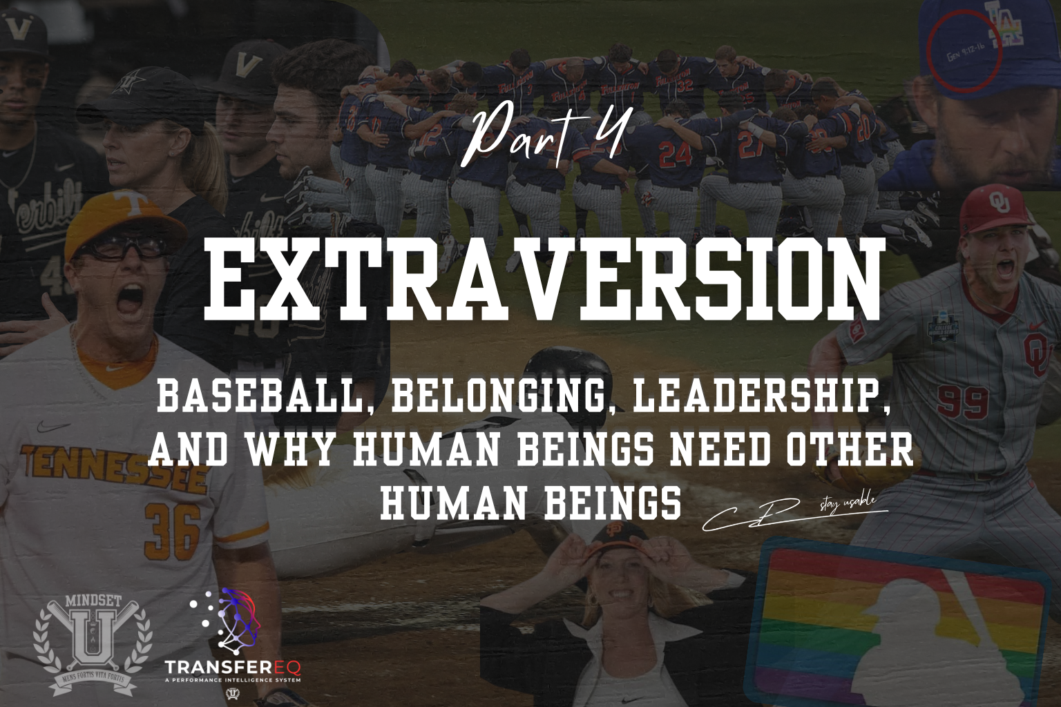Part 4: Extraversion                                     Baseball, Belonging, Leadership, and Why Human Beings Need Other Human Beings