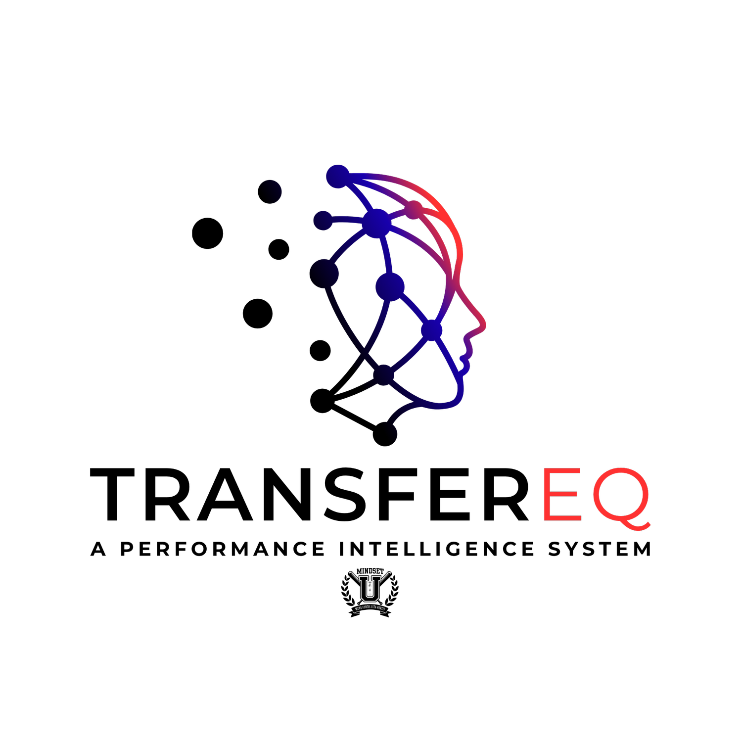 mindset u / Transfer eq
