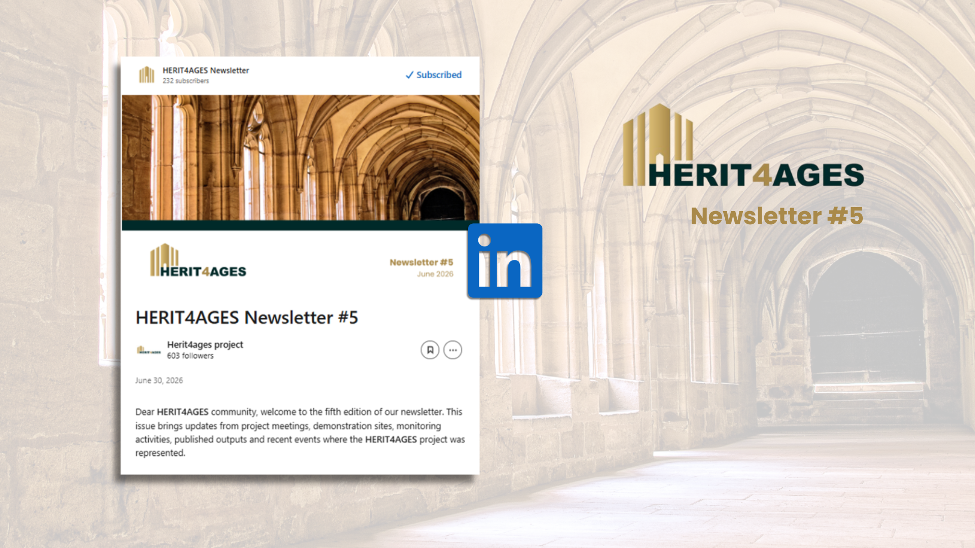 Newsletter #5