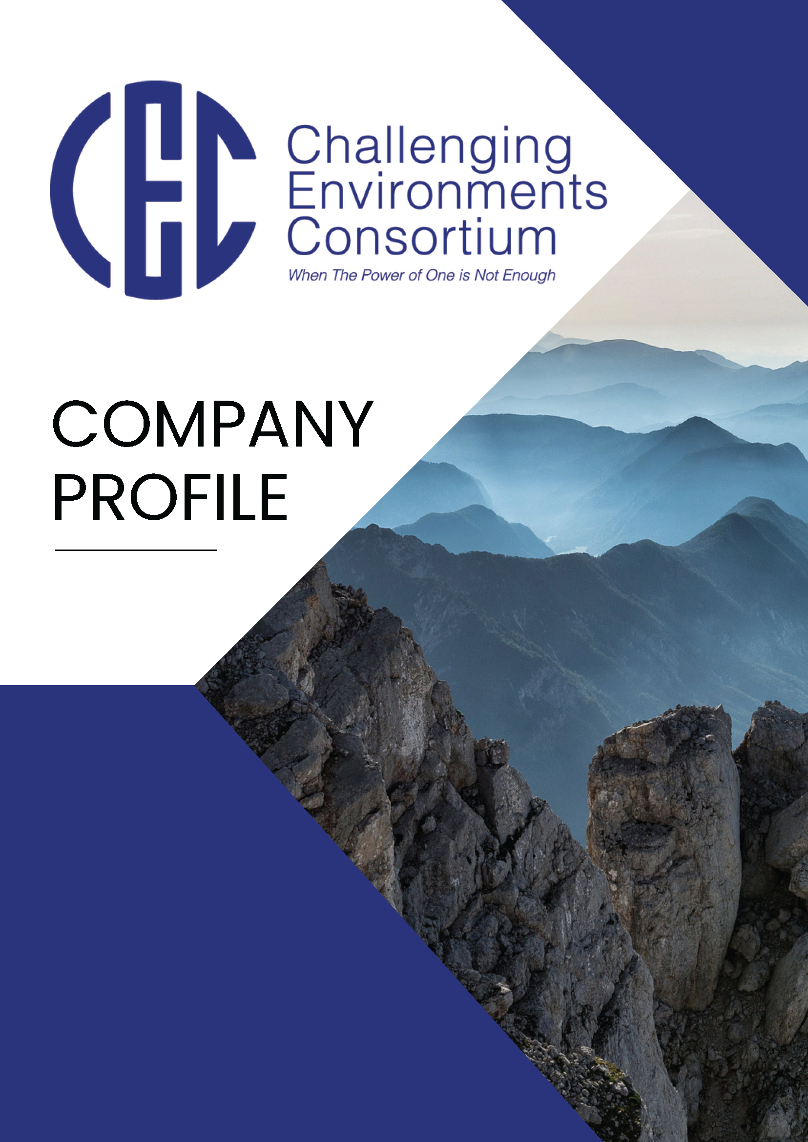 Current - Company Profile - Challenging Environment Consortium_Page_01.png