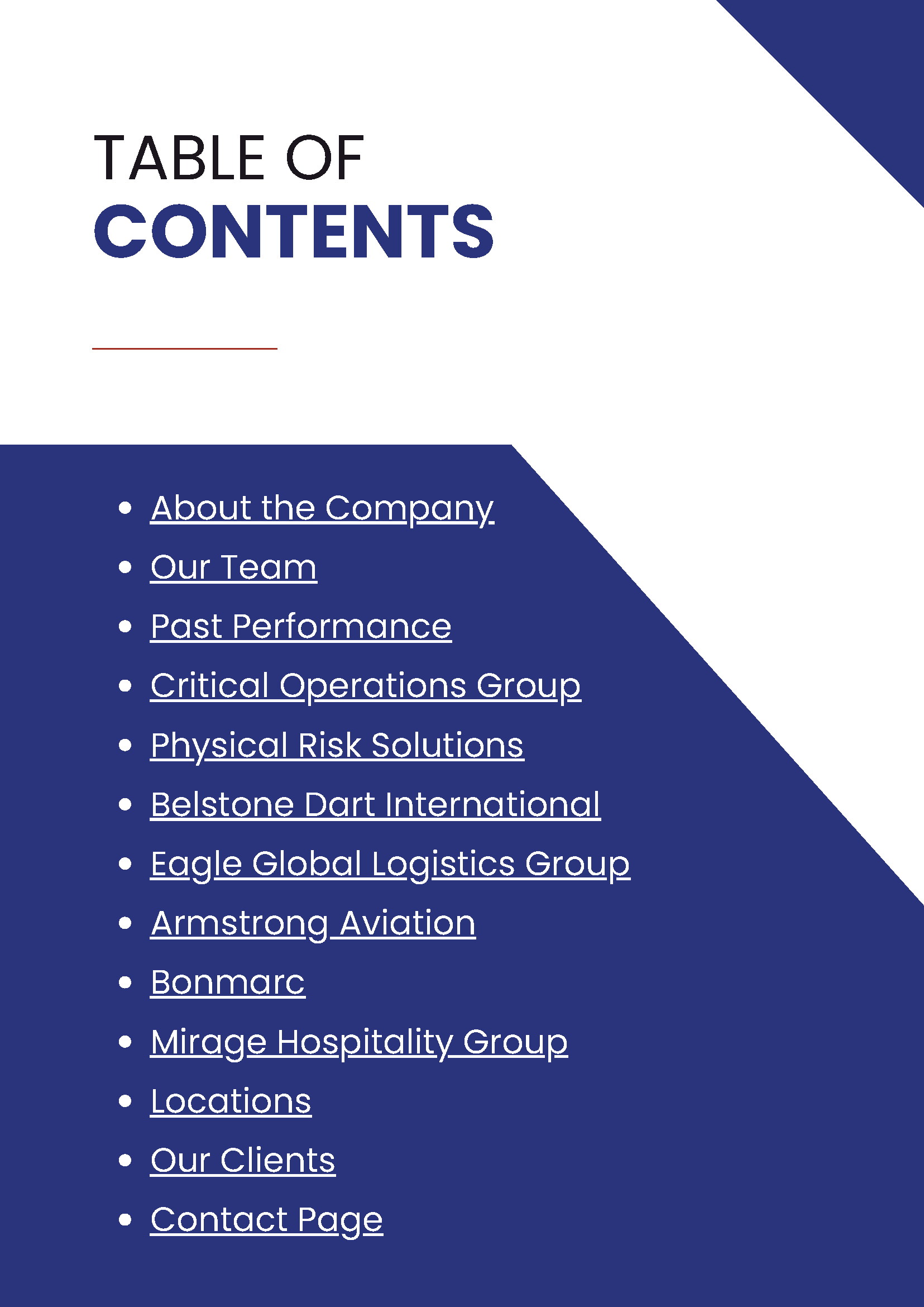 Current - Company Profile - Challenging Environment Consortium_Page_02.png