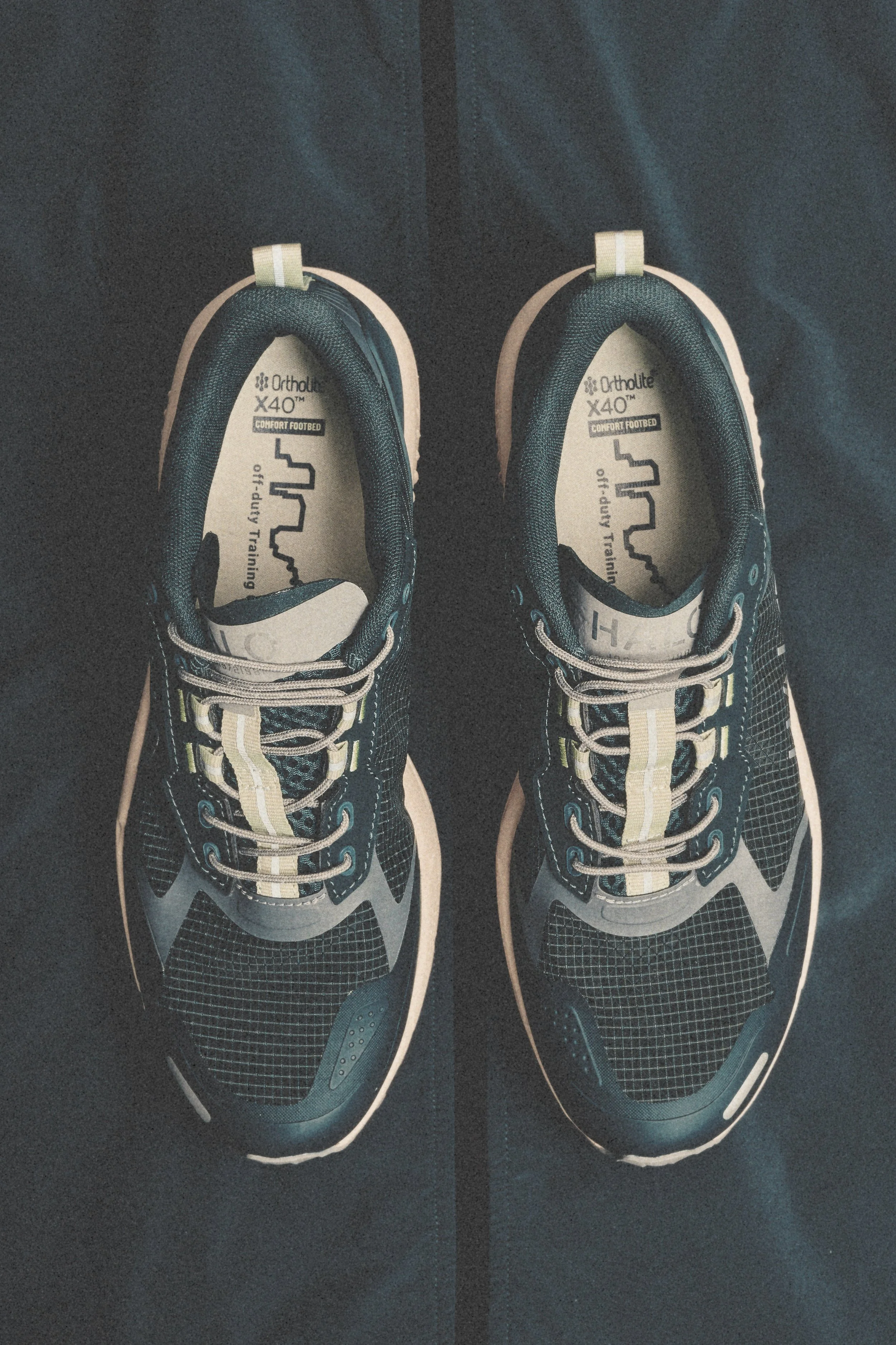 HALO Creatives_Jan_2698536.jpg