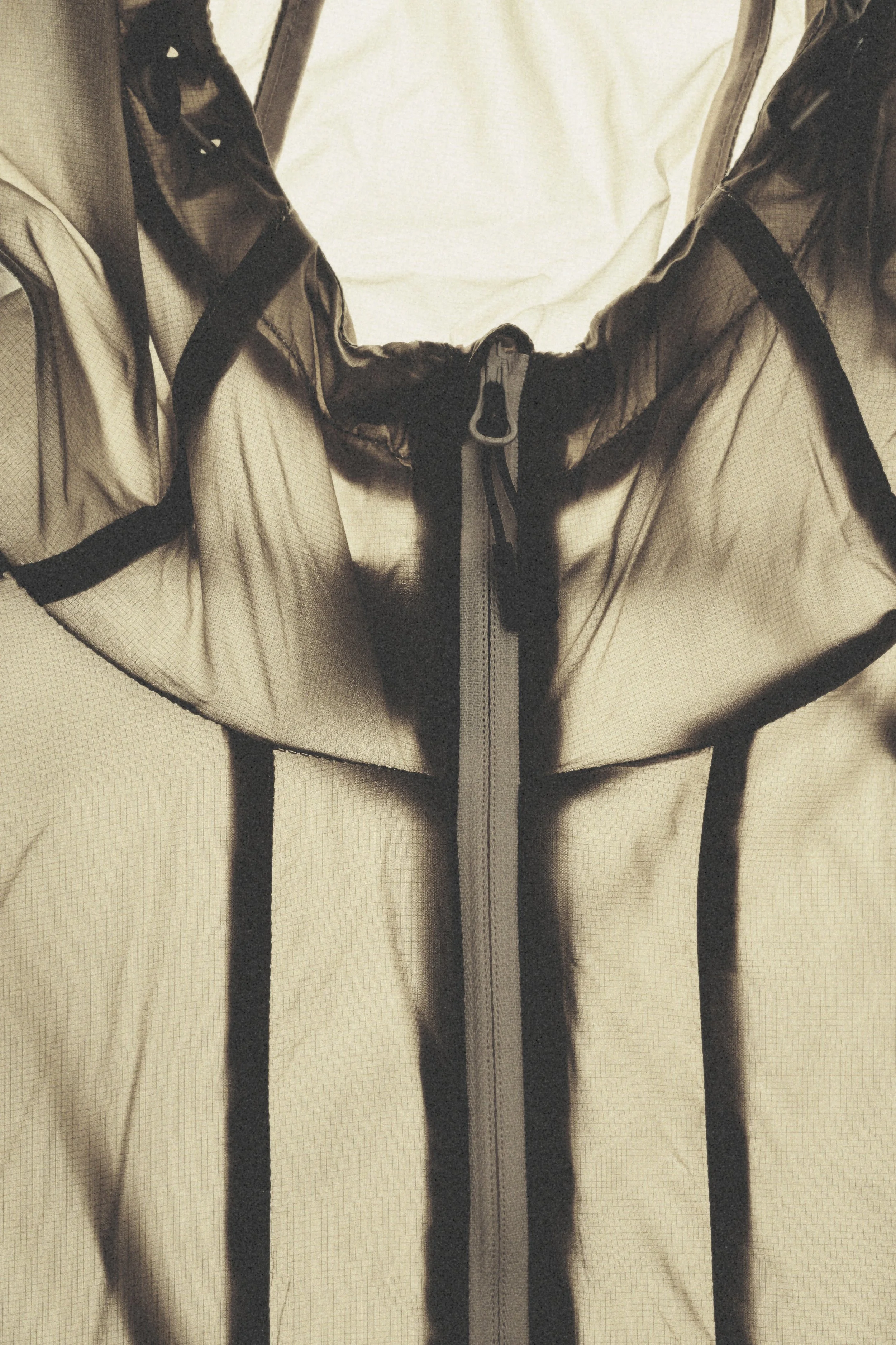 HALO Creatives_Jan_2698563.jpg