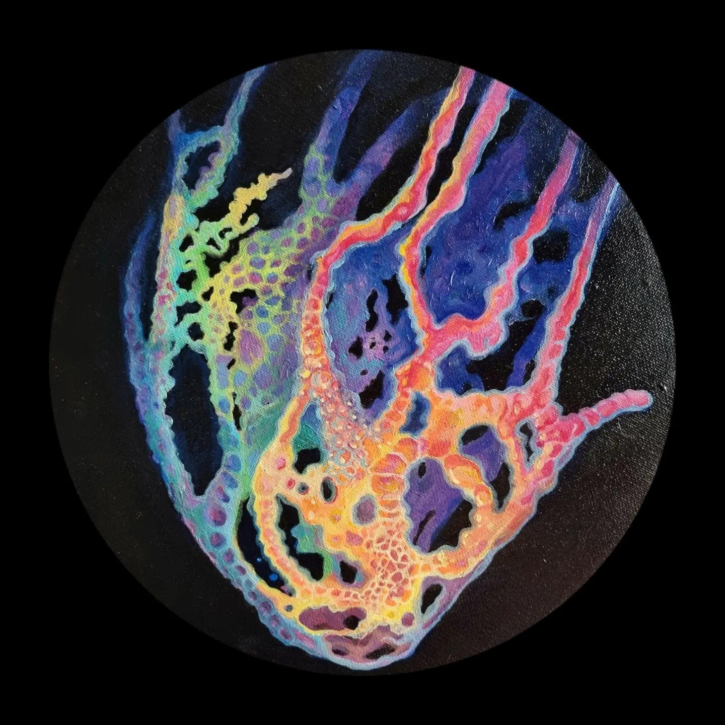 IMG_20240206_171706_723 (1).jpeg