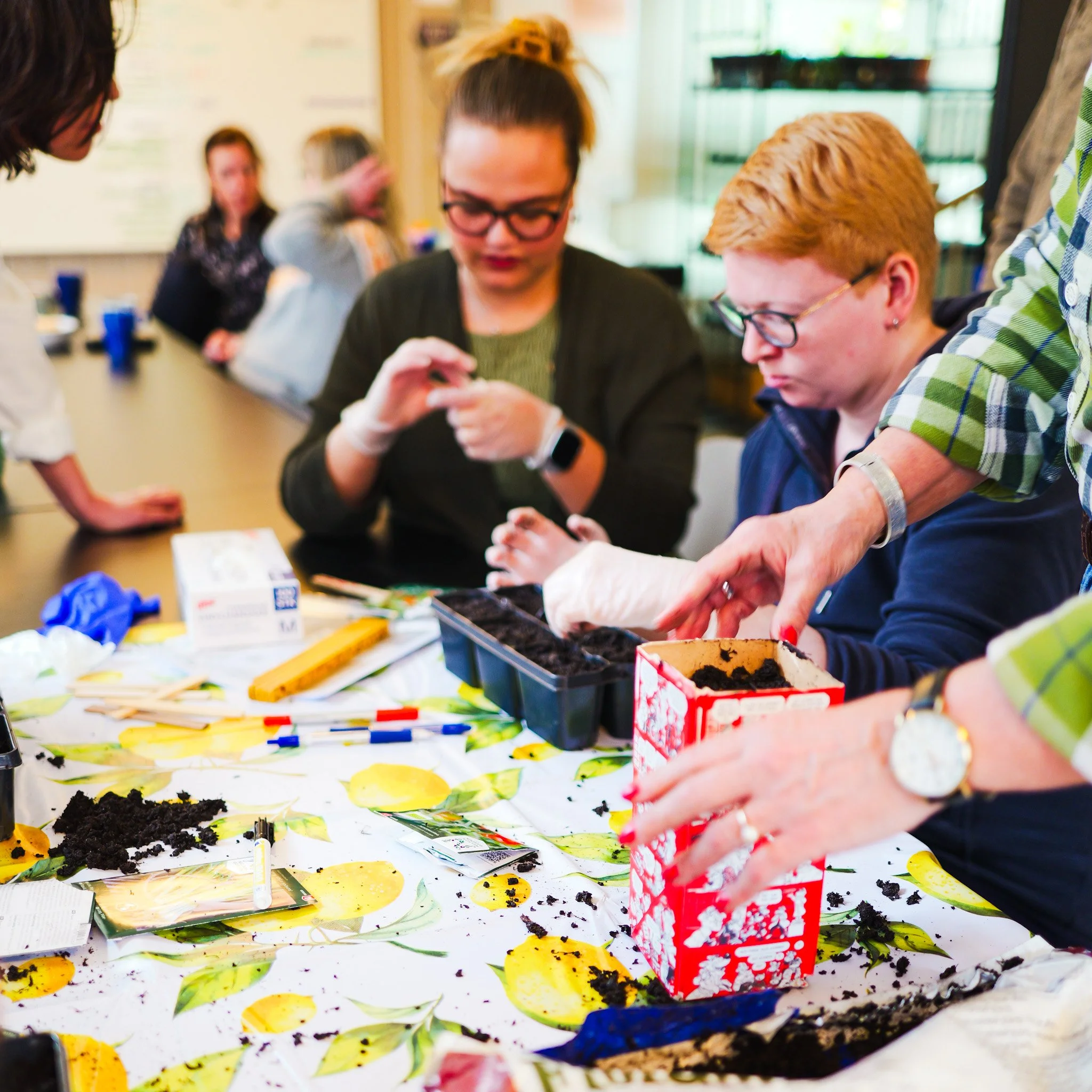 Tenk s&aring; heldige vi er som f&aring;r s&aring; fantastisk god hjelp av @kongsberghagelag 

Muligheten @sparebank1stiftelsenbv  skaper ved &aring; tildele midler til Kongsberg Hagelag er uvurderlig. 

Dette gir medlemmer p&aring; @fontenehusetkong