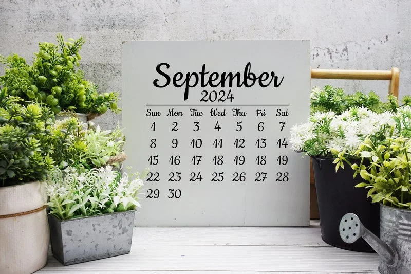 Wie du einen Kalender effektiv benutzt, wenn du ADHS hast - Teil 1