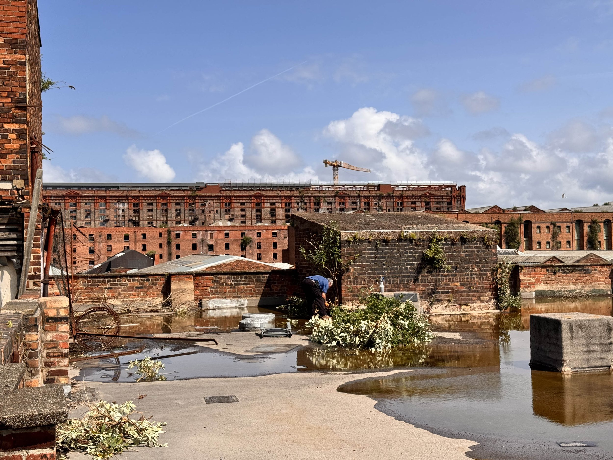 Photo 10-06-2025, 11 32 08.jpg