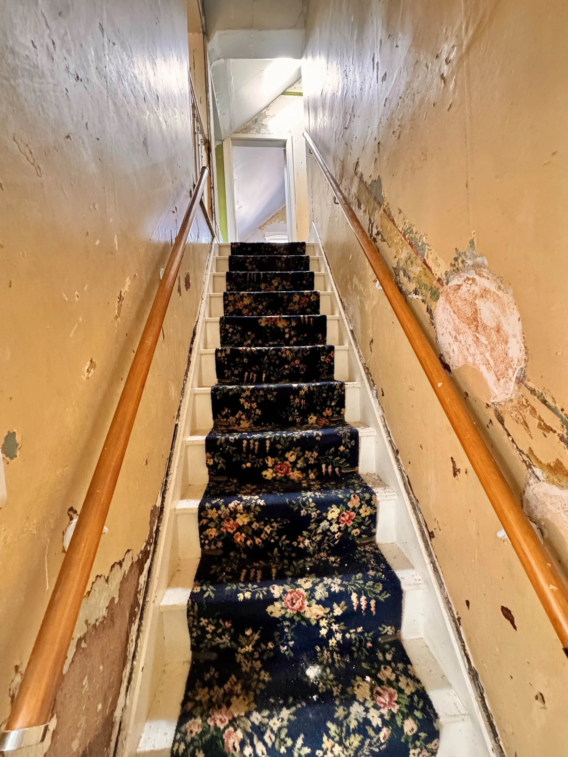 Photo 13-08-2025, 12 40 18.jpg