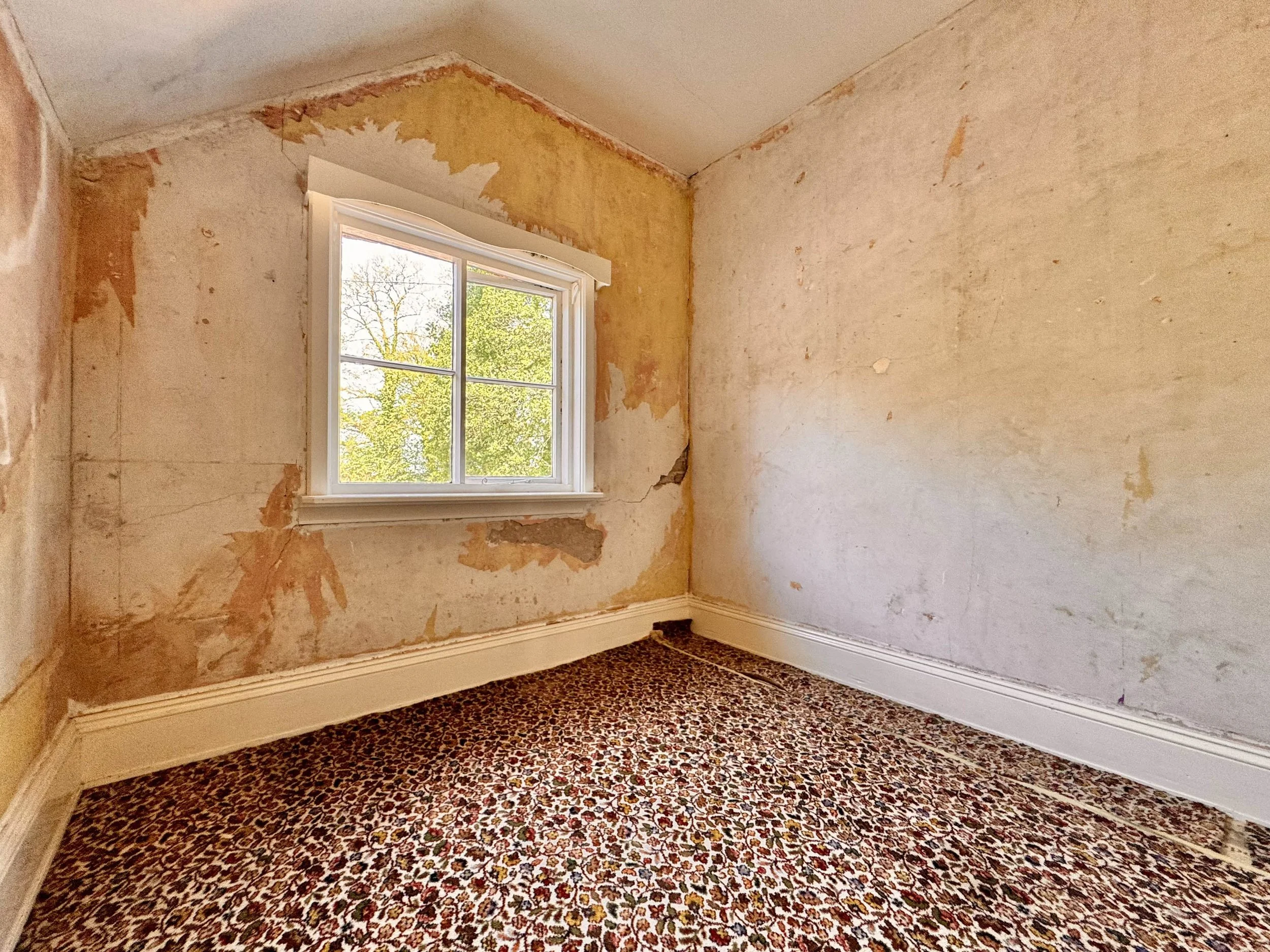 Photo 13-08-2025, 12 42 01.jpg