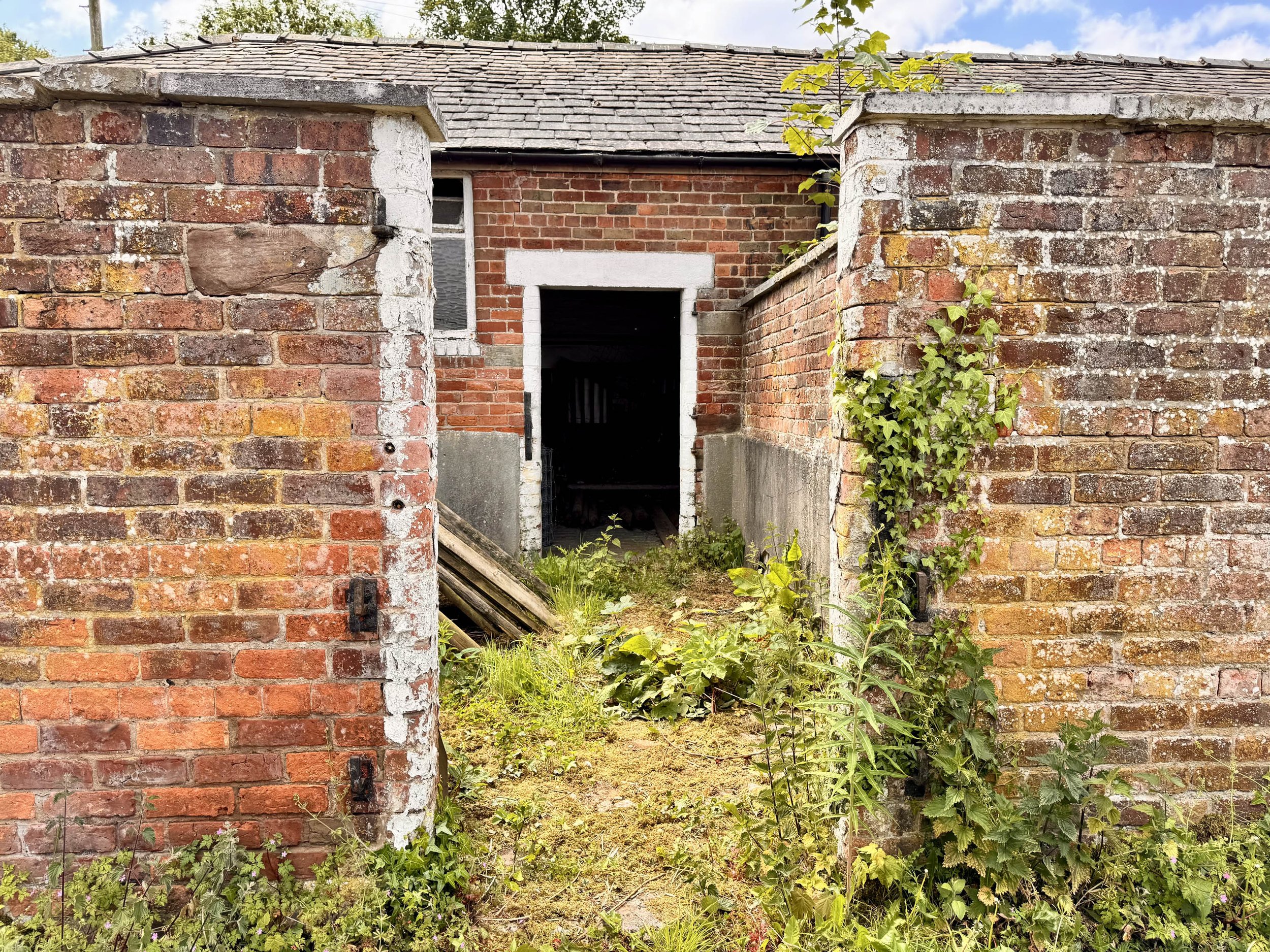 Photo 19-05-2025, 13 24 49.jpg