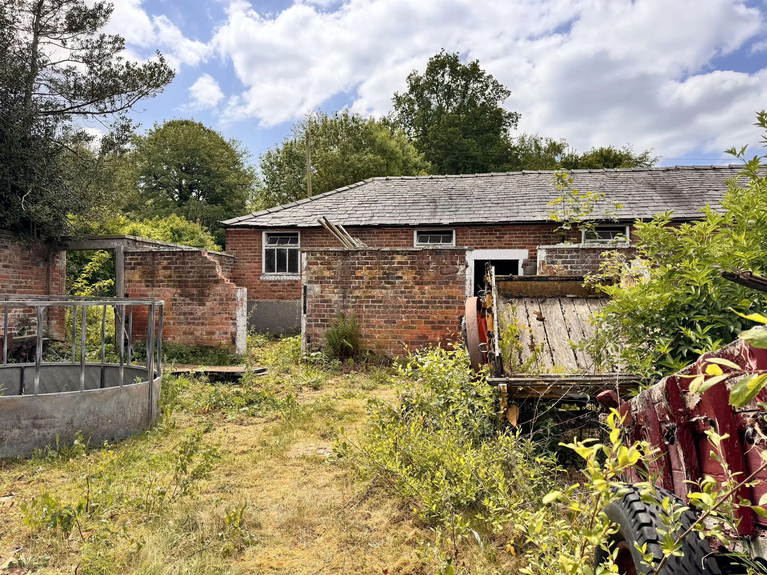 Photo 19-05-2025, 13 24 41.jpg