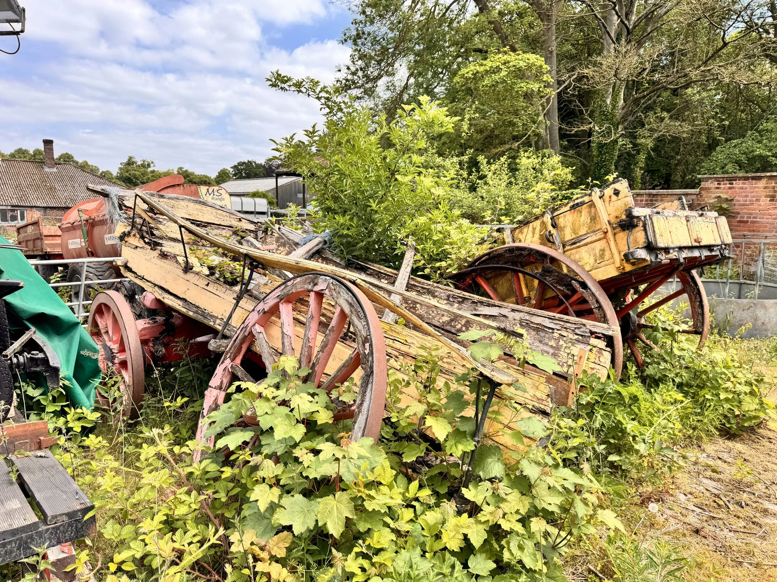 Photo 19-05-2025, 13 24 57.jpg