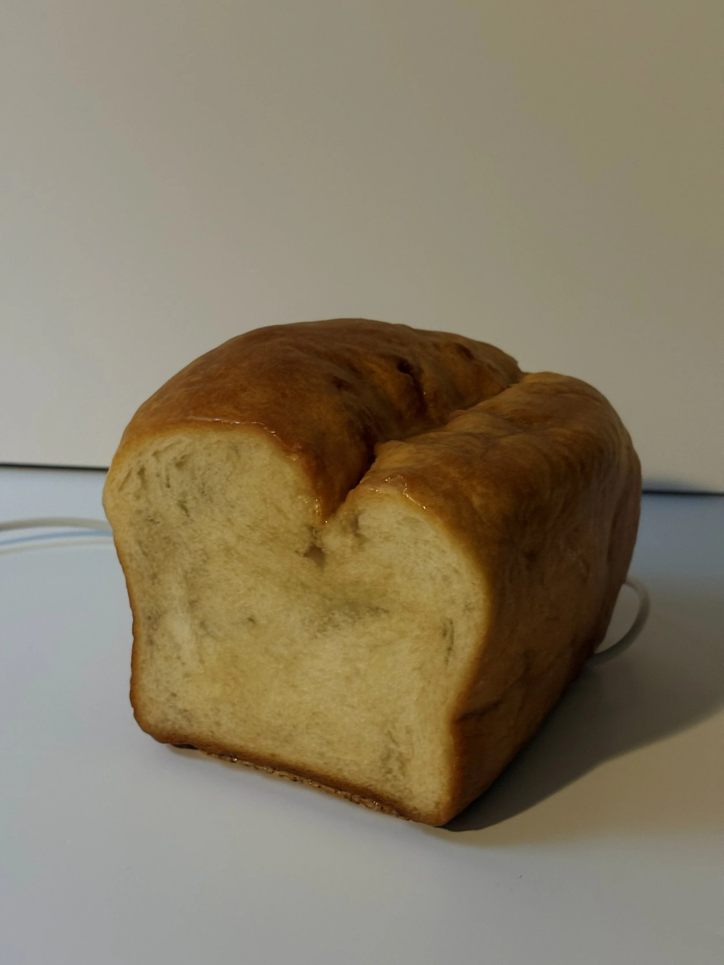 IMG_7729 - Kopie.jpg