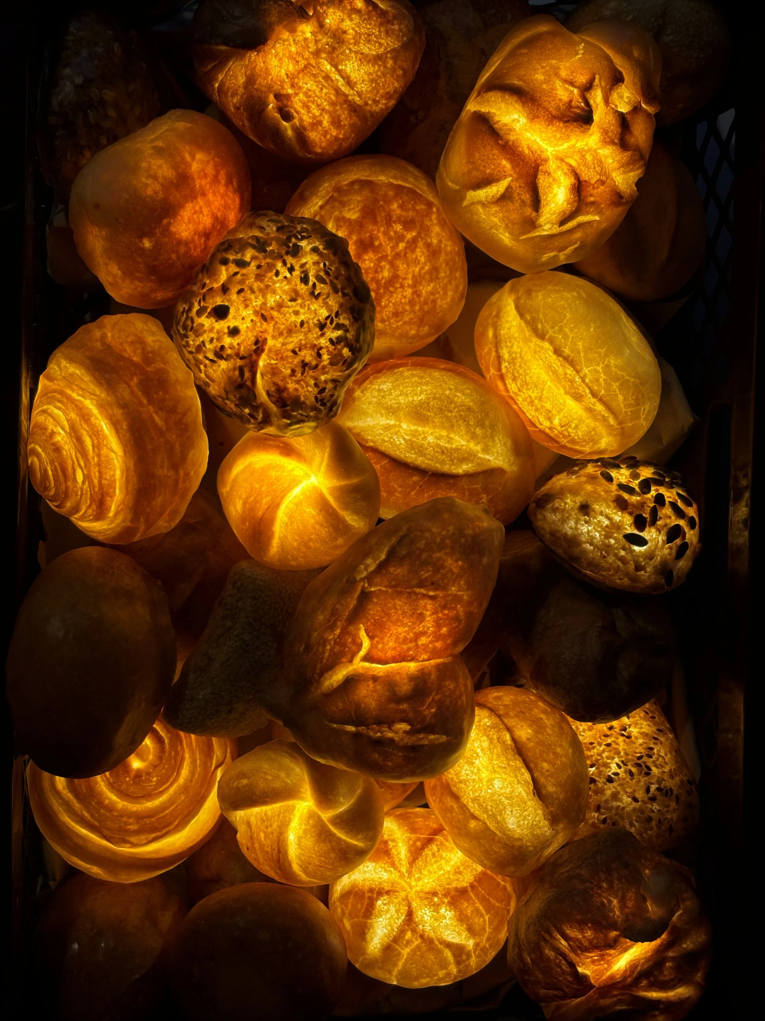 Mistery Pack "Schrippy"