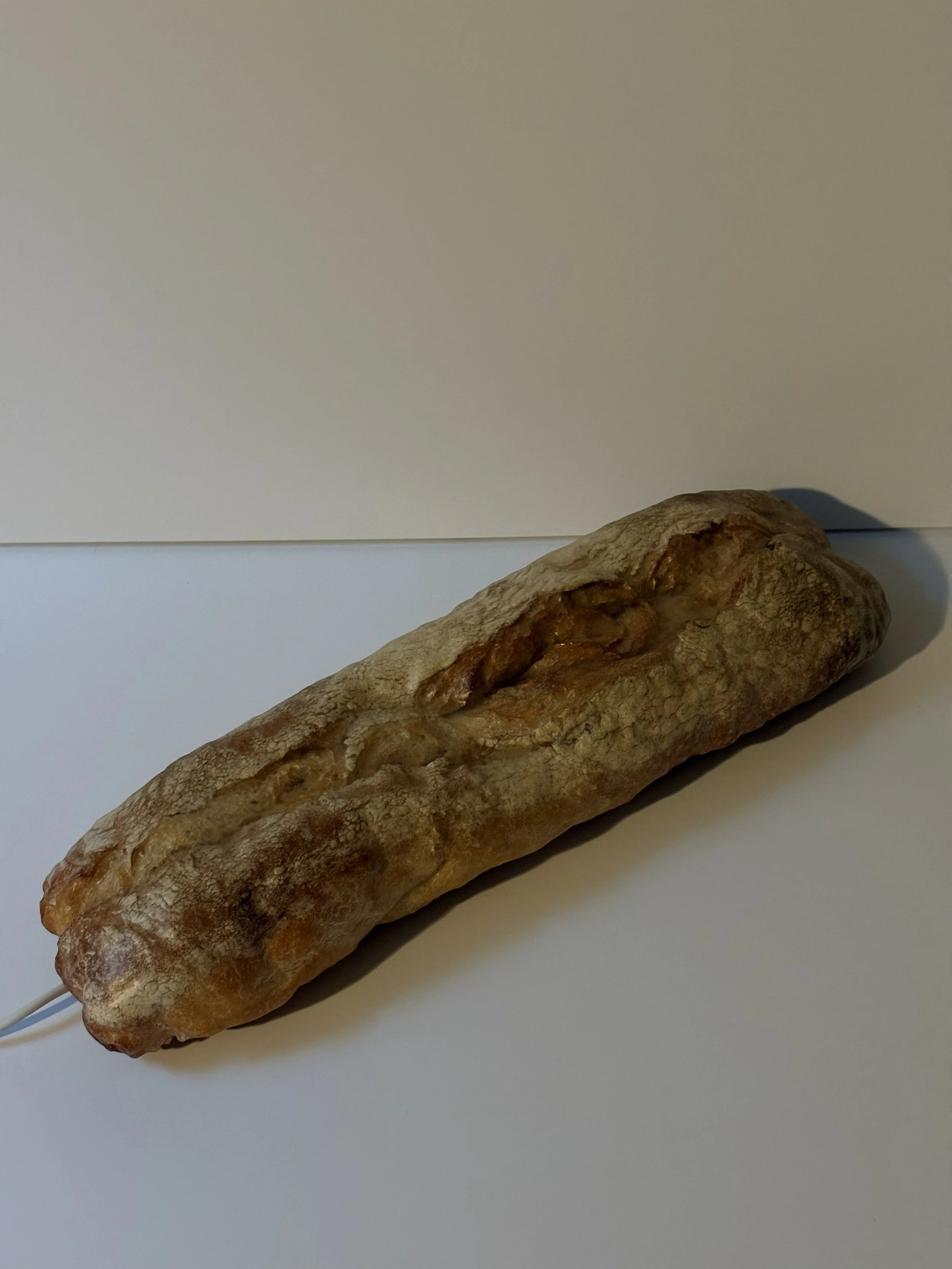 IMG_7731 - Kopie.jpg