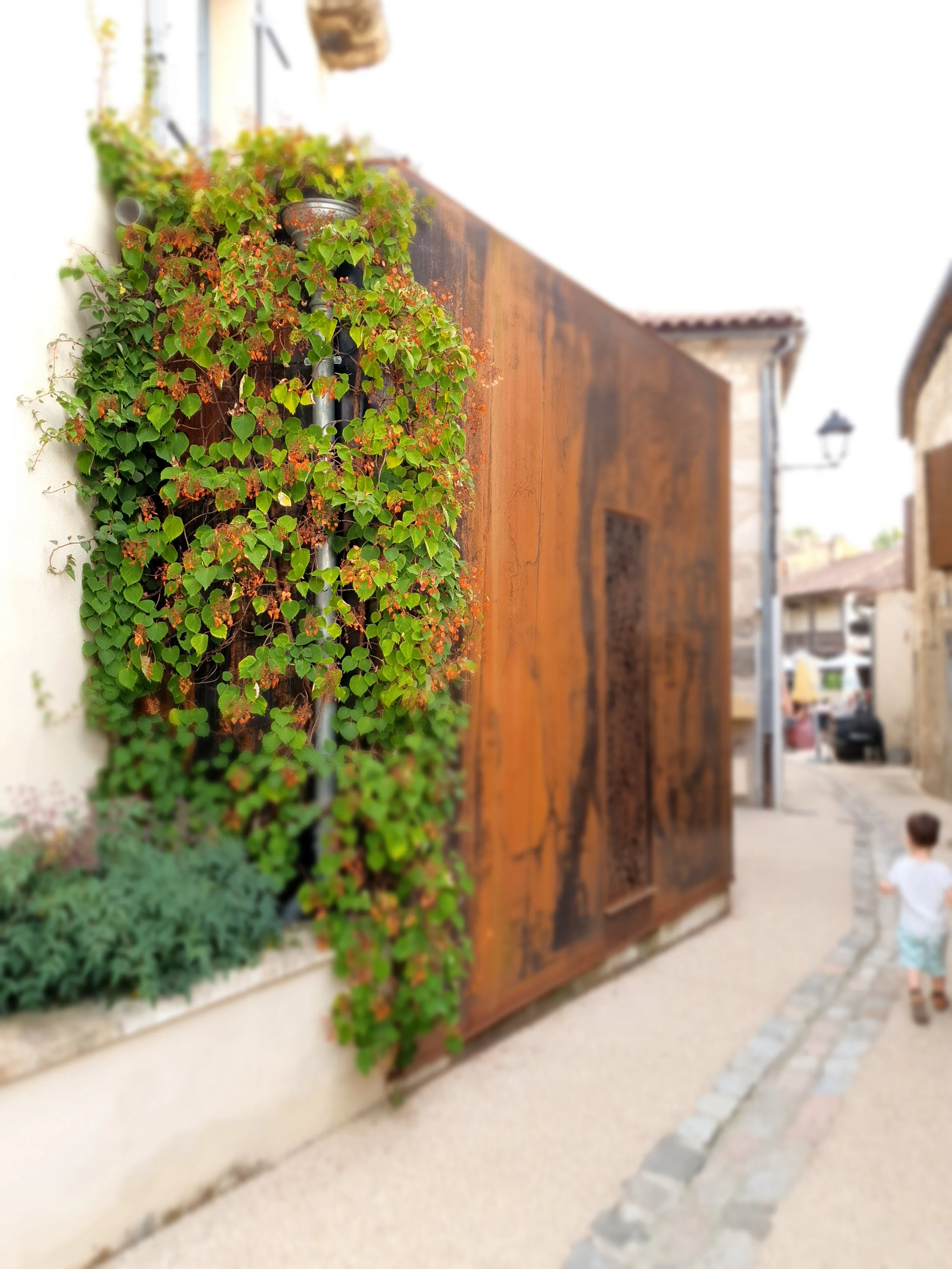 Diagnostic de site : la première étape pour réduire les coûts cachés de vos aménagements extérieurs