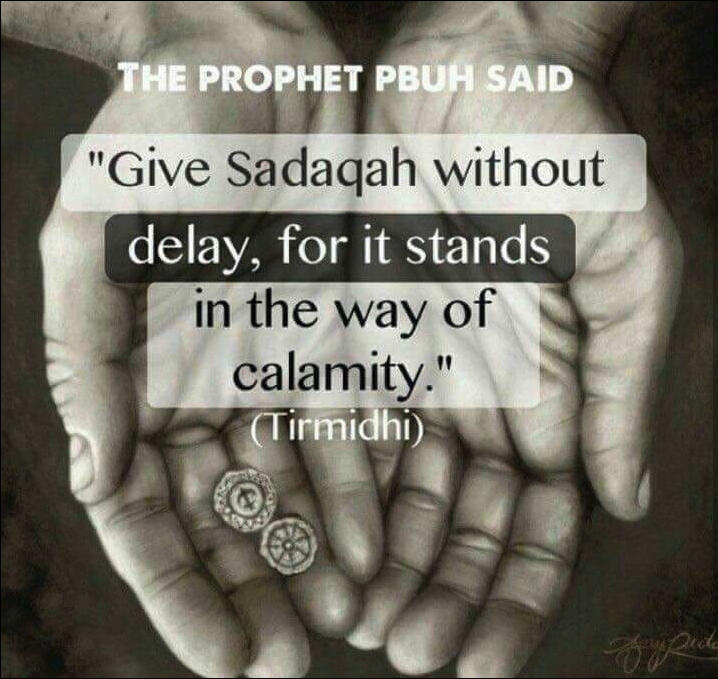 Supporting Palestinian Causes: 11 Safe and Trusted Non-Profit