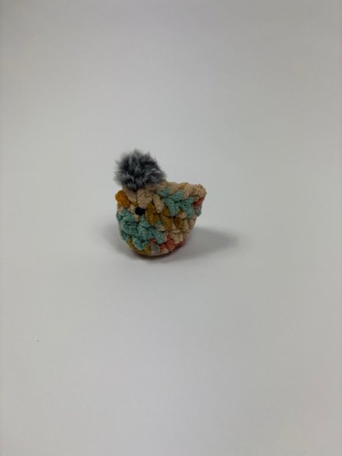 image3.jpeg