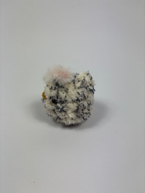 image1.jpeg