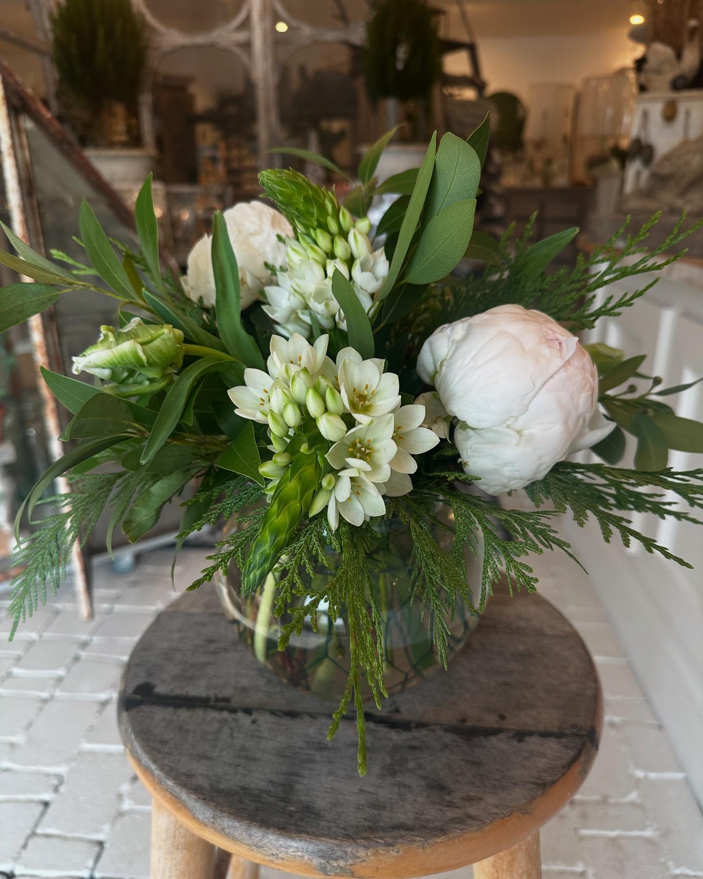 Around The Shop

OPEN THURS-SUN 10-5

&bull;Holiday Greens
&bull;Wreaths Fraser Fir 
&bull;Garland
&bull;Planter Inserts
&bull;Double White Amaryllis 
&bull;white Cyclamen
&bull;Paperwhites
&bull;Fresh Cut Ontario Holly

#collingwoodontario ##thornbu