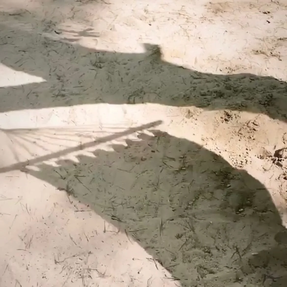 s u n believable island🌴
.
.
.
#mallorcaconnects 
#thatsummerfeeling 
#mallorcaisland 
#baleares #mediteraneo 
#igersmallorca 
#islasbaleares #palmtreelife #islandlife #mallorcasunshine