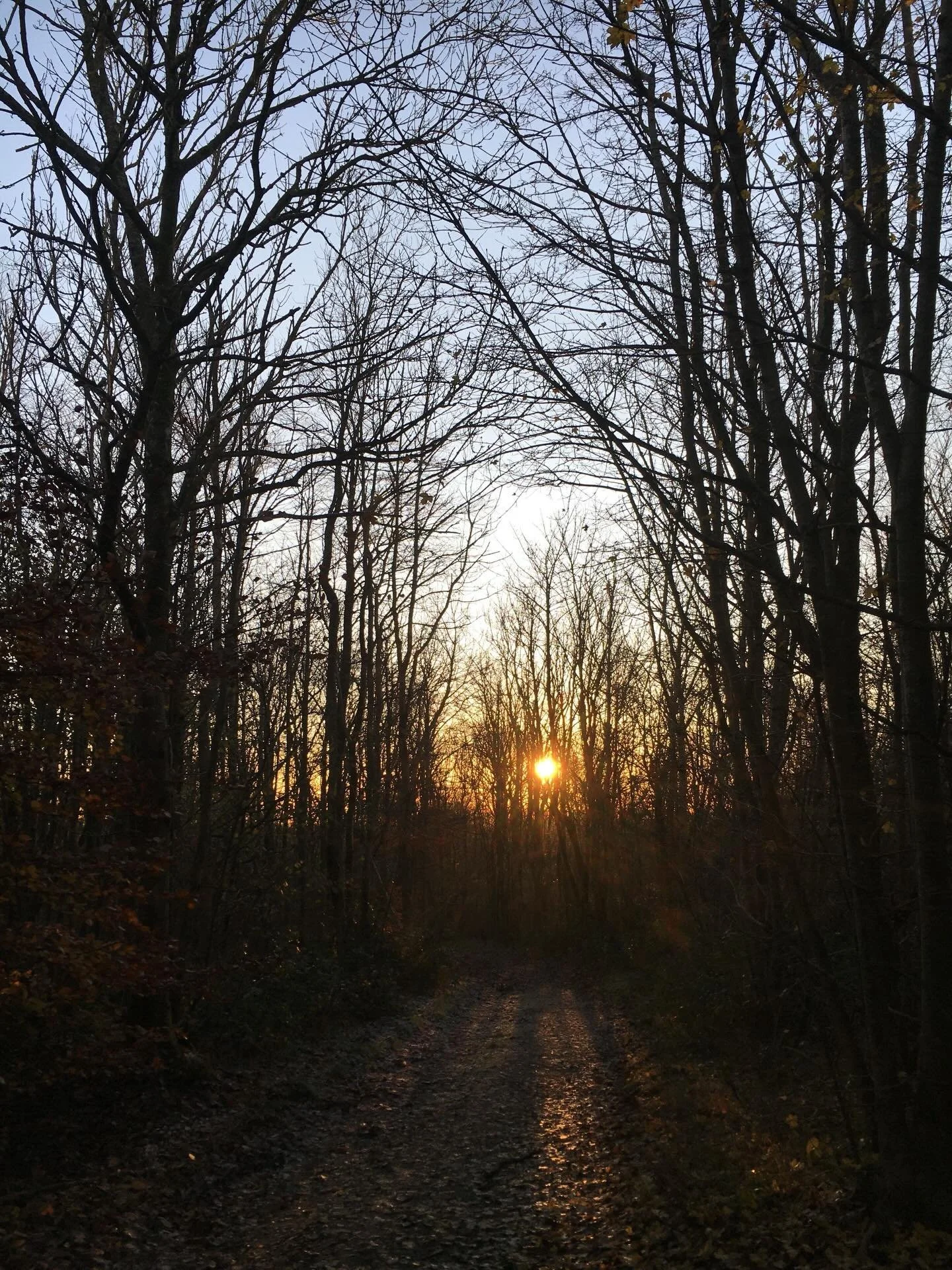 W I N T E R

A time to rest, to embrace the dark; to nourish and restore ✨

.
.
.

#natureknowsbest #restdays #restandrestore