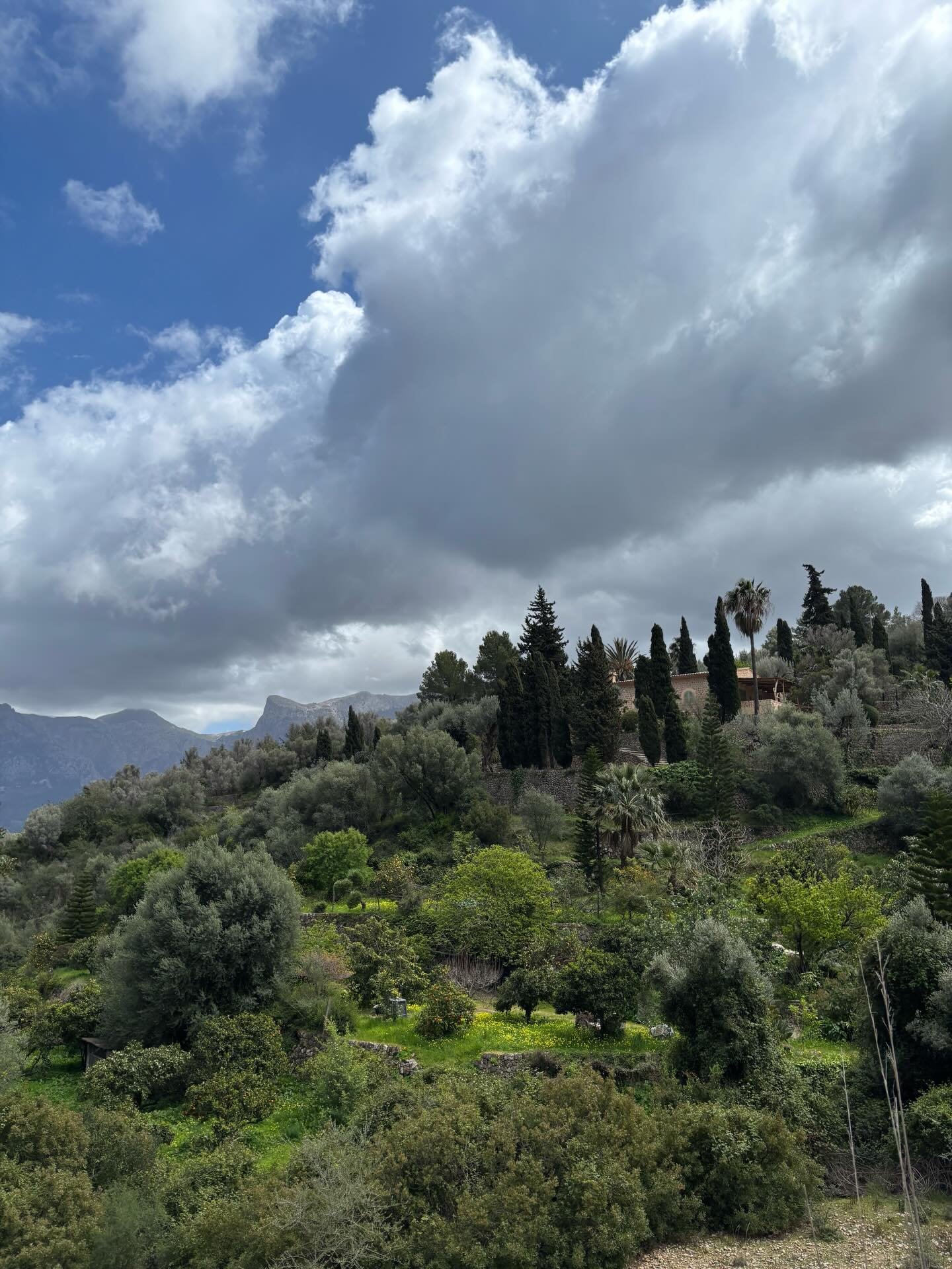 Working 7 days a week since Christmas hasn&rsquo;t left much time for self care 😅
⠀⠀⠀⠀⠀⠀⠀⠀⠀
Feeling especially lucky tonight then, to have spent a magical three days at @anandamallorca with the very special @yogawithrachael_brighton and a truly beau