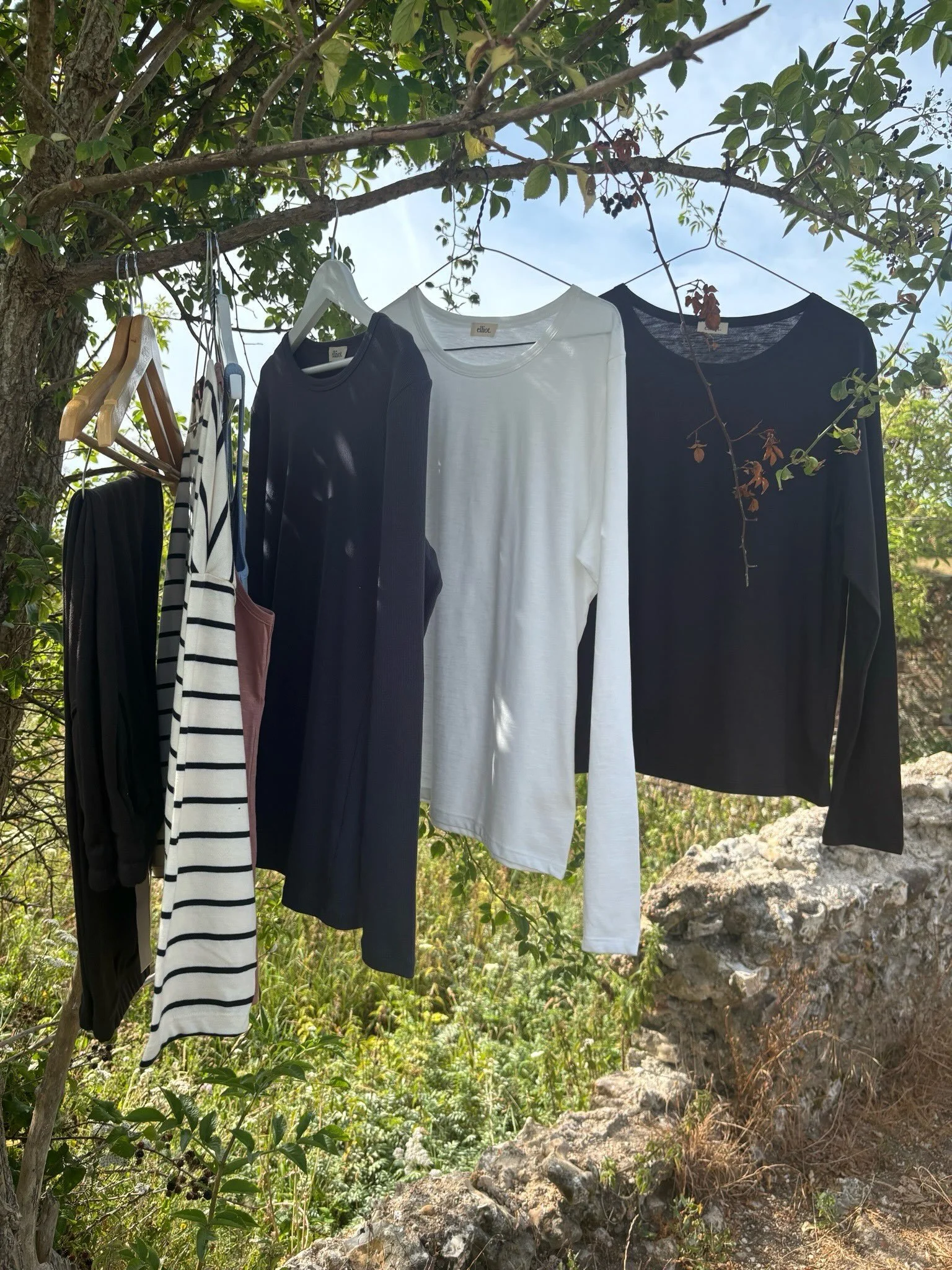 A U T U M N  C O L O U R

New colours online now 😘

.
.

#buylessbuybetter #organiccotton #findyourhappy