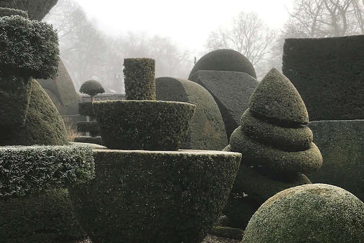 Levens Hall is home to the world&rsquo;s oldest topiary garden, designed by Monsieur Guillaume Beaumont and established from 1694 . I am very excited to visit on Sunday which is World Topiary Day.#topiary#worldtopiaryday#heritagegarden#landscapedesig