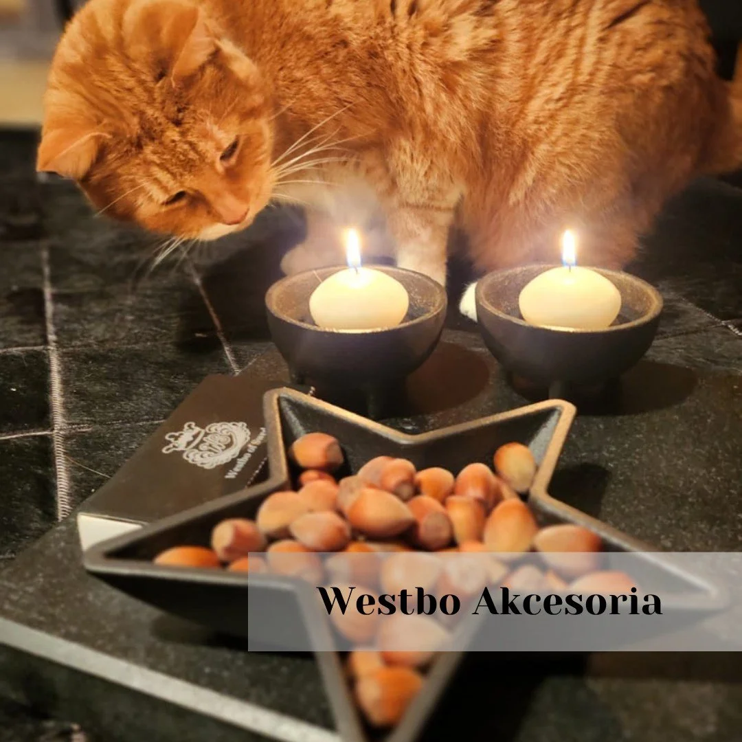 🕯️ Żeliwo, kt&oacute;re kradnie uwagę (nawet kot&oacute;w 👀)

Nasze żeliwne akcesoria &mdash; świeczniki, gwiazdki na cukierki i inne drobiazgi &mdash; mają w sobie urok, kt&oacute;ry przyciąga spojrzenia.
Ludzi, gości&hellip; i, jak widać, nawet k