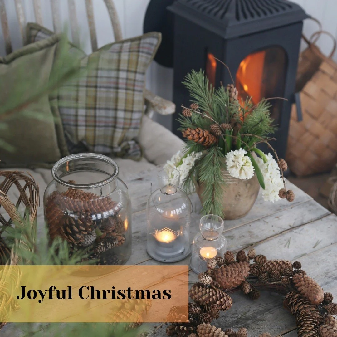 🎄✨ Holiday greetings!
As snow gently falls outside and the cozy warmth from Westbo of Sweden stoves fills your home 🔥, we wish you a peaceful, joyful Christmas full of snug moments with your loved ones.
Stay warm, relaxed, and enjoy the festive vib
