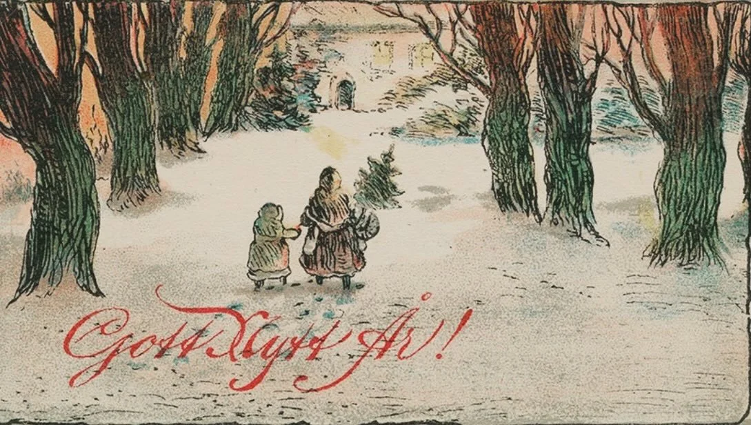 Gott nytt &aring;r! Gutes Neues Jahr! Einen Guten Start ins neue Jahr 2026! #schwedenofen #gottnytt #gutesneues #kaminofen #heizenmitholz