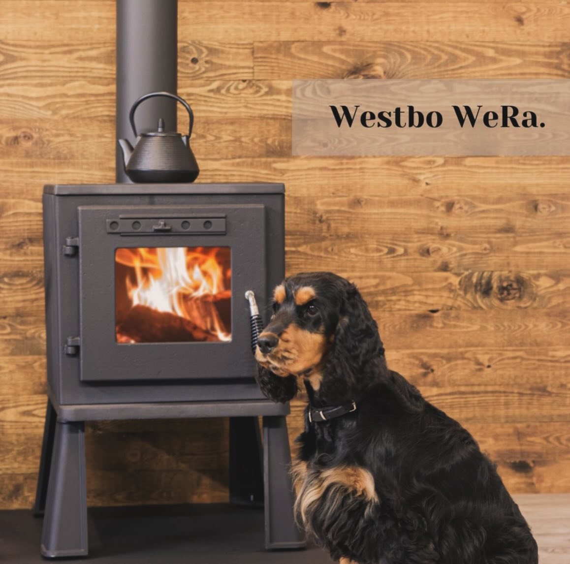 Wera M1 &amp; M2 &ndash;
Robuste Guss&ouml;fen aus Schweden 🔥 🇸🇪 
➡️ Effizient &bull; Zuverl&auml;ssig &bull; Stromunabh&auml;ngig
Perfekt als Back up Feuerstelle. 
#Gussofen #WeraM1 #WeraM2 #WarmInBerlin #schwedenofen