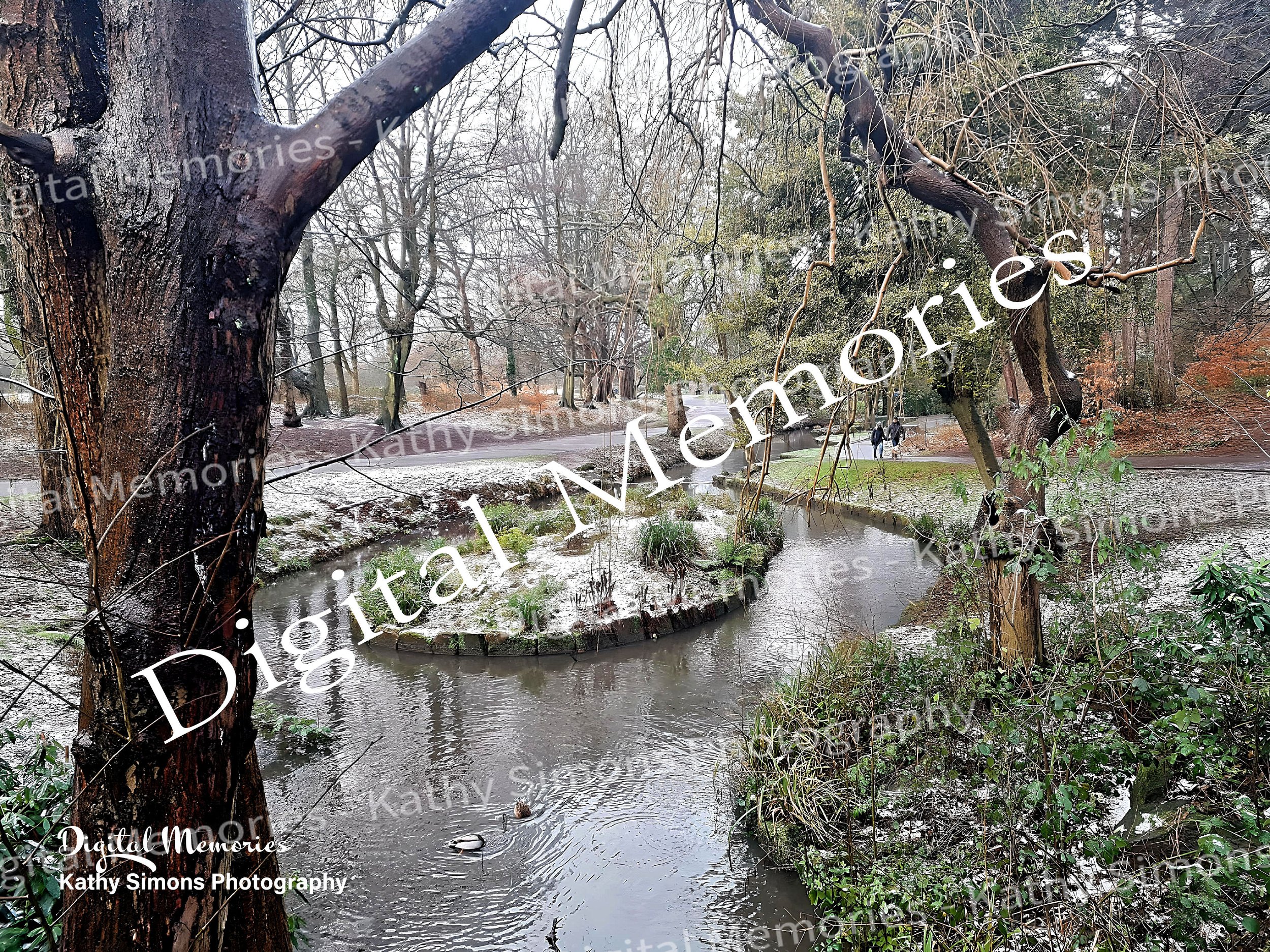 Digital Prints - Sefton Park In Winter