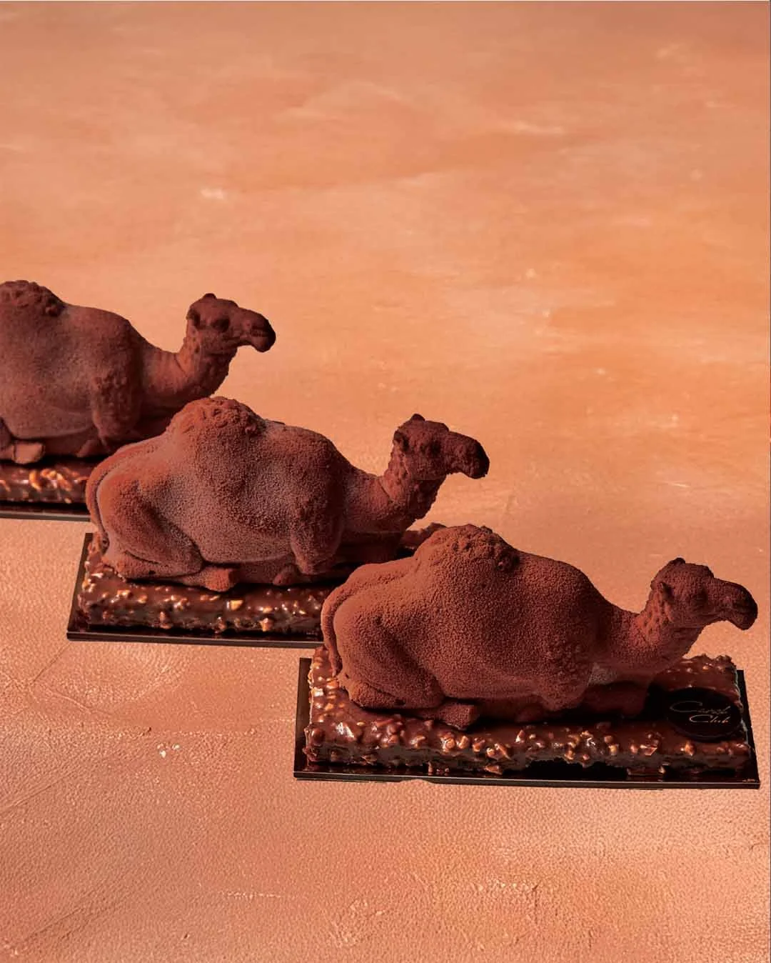 The three Camelos.jpg