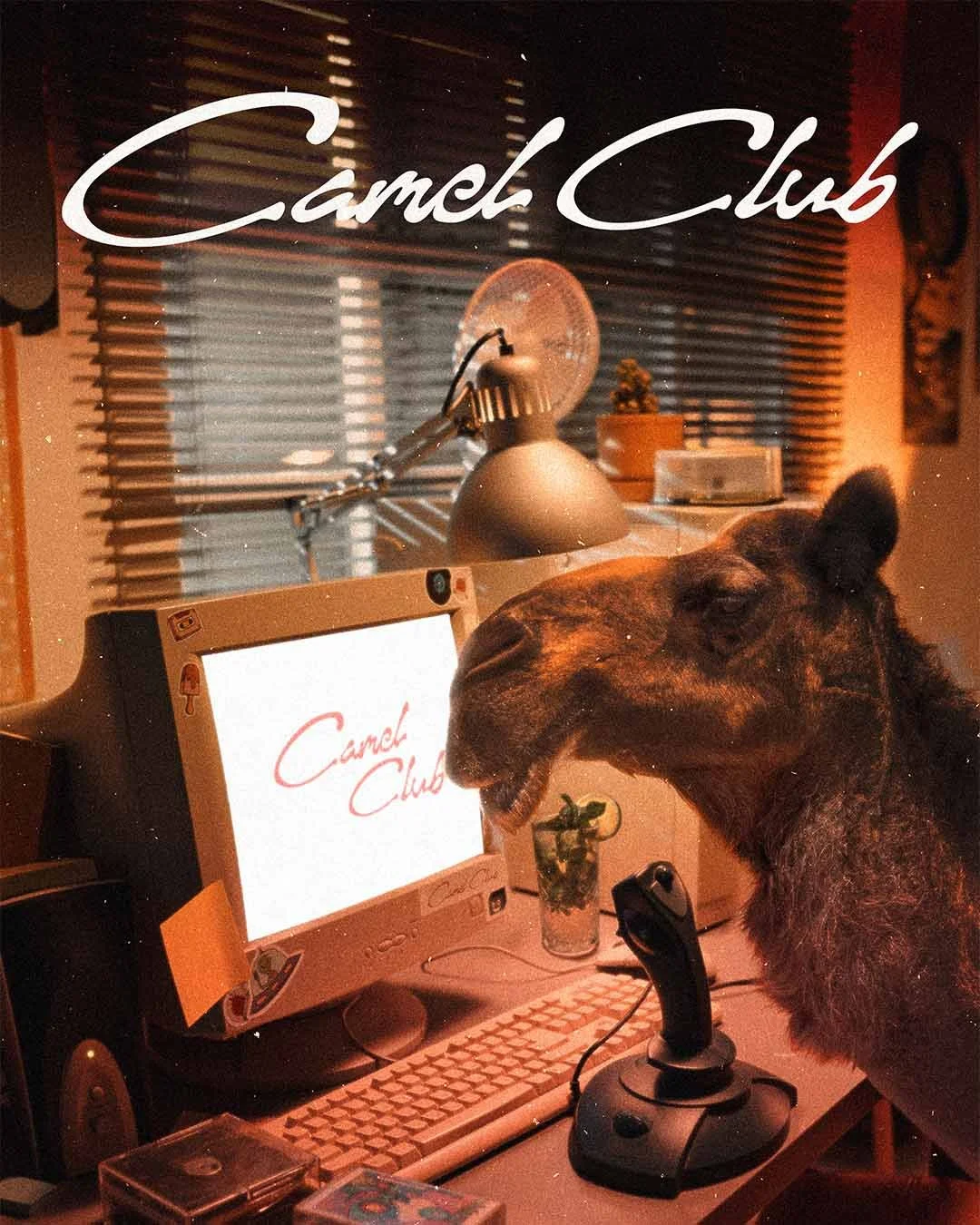 Camel Room.jpg
