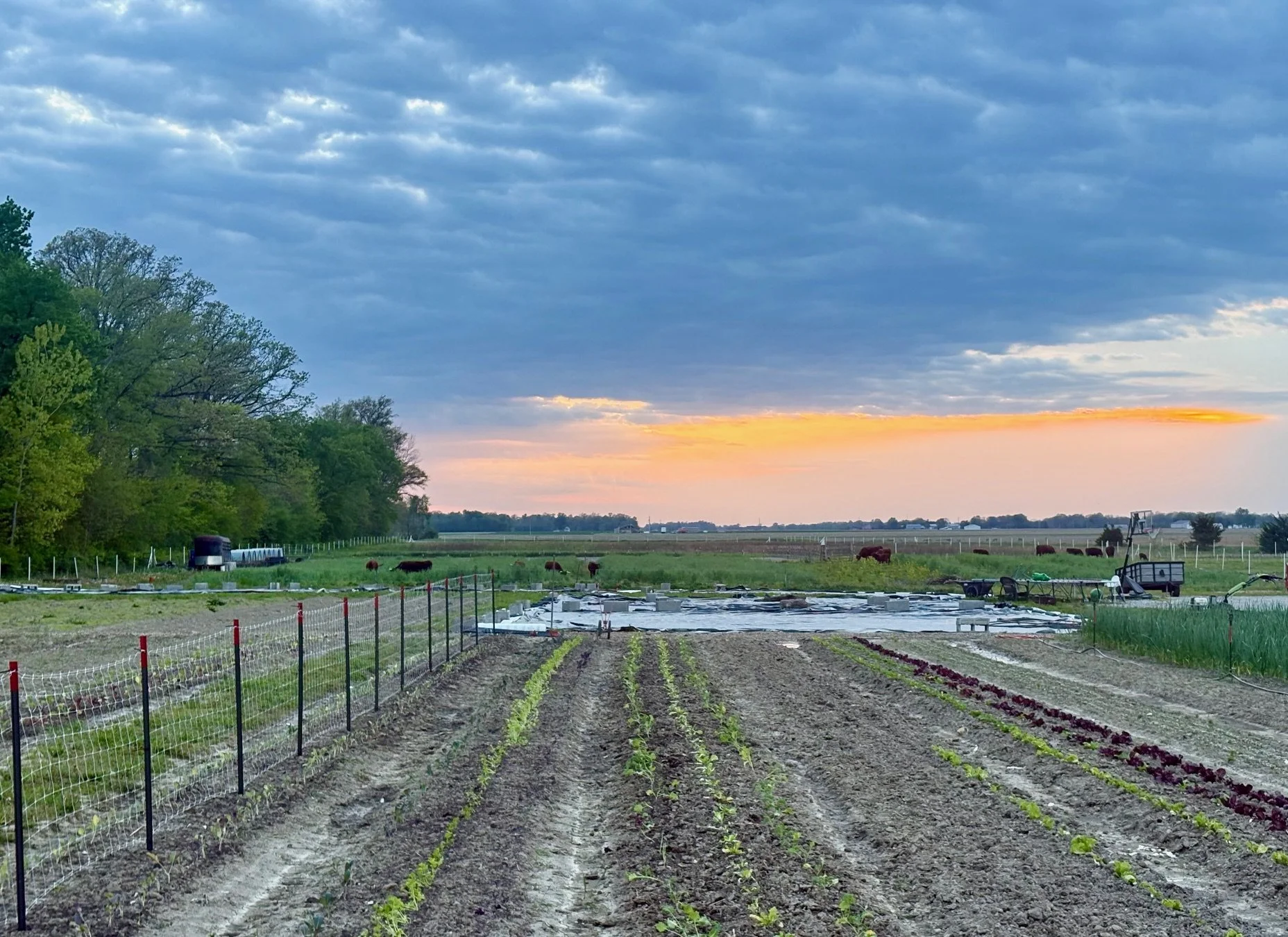 The River Farm Tasting and Sunset Garden Tour