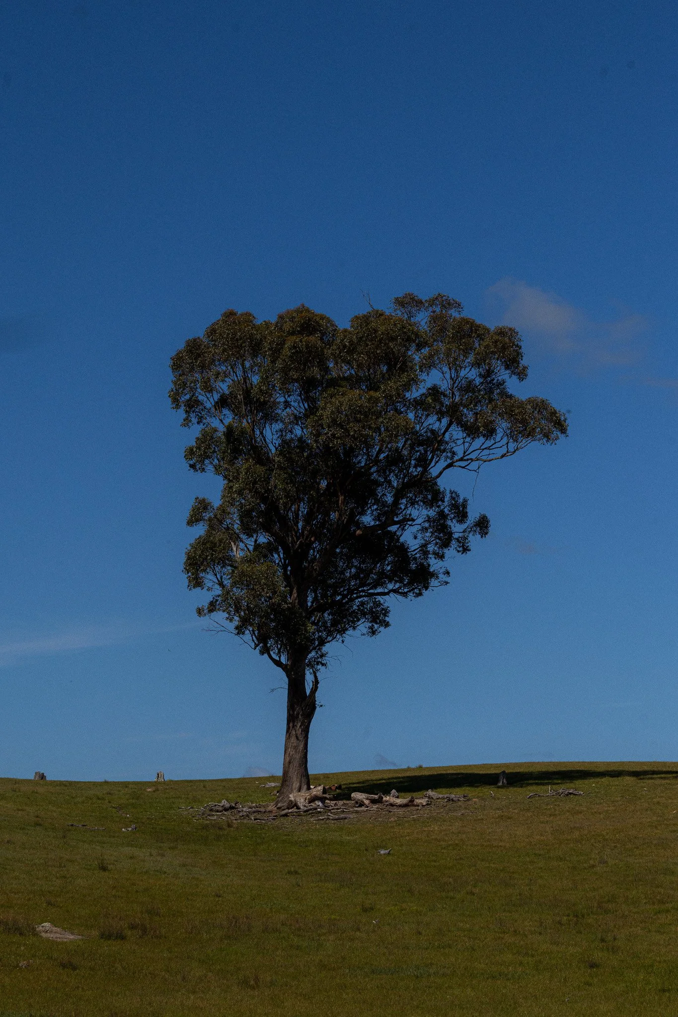 0S1A8259.jpg