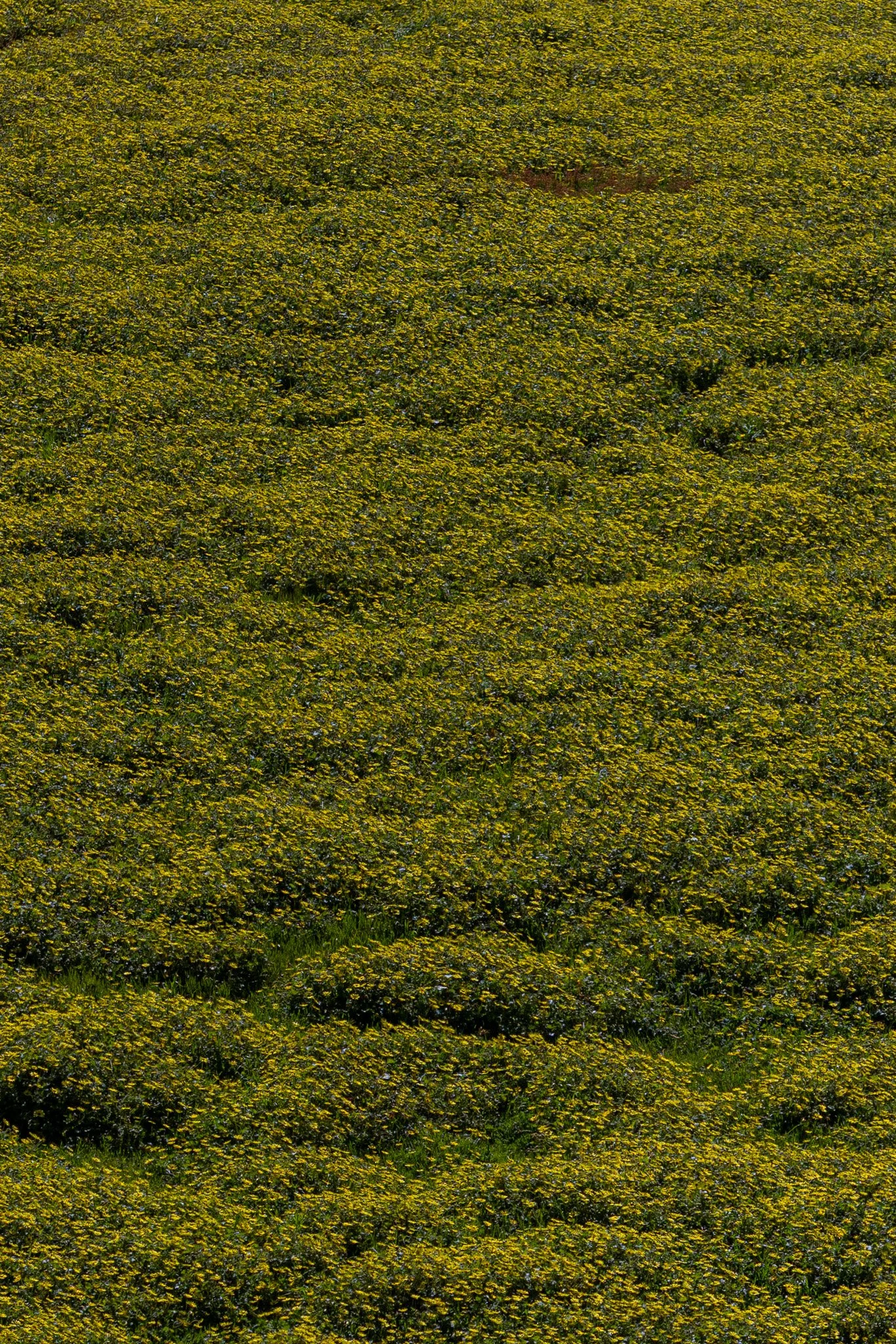 0S1A8425.jpg