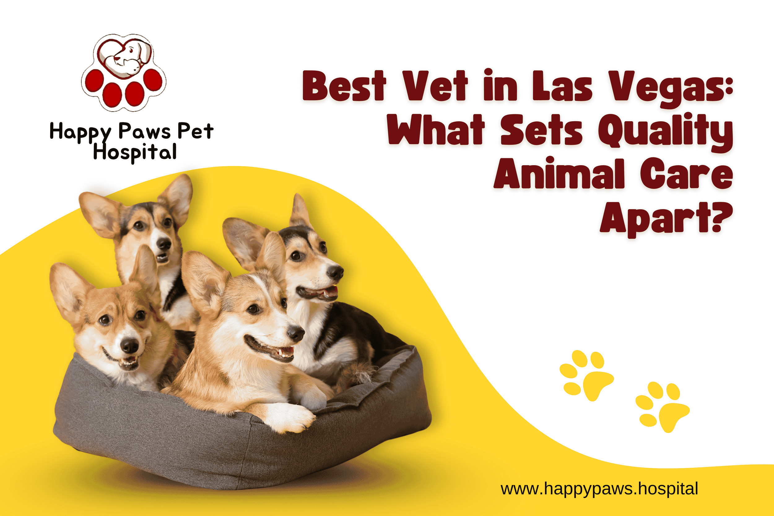 Best Vet in Las Vegas: What Sets Quality Animal Care Apart?