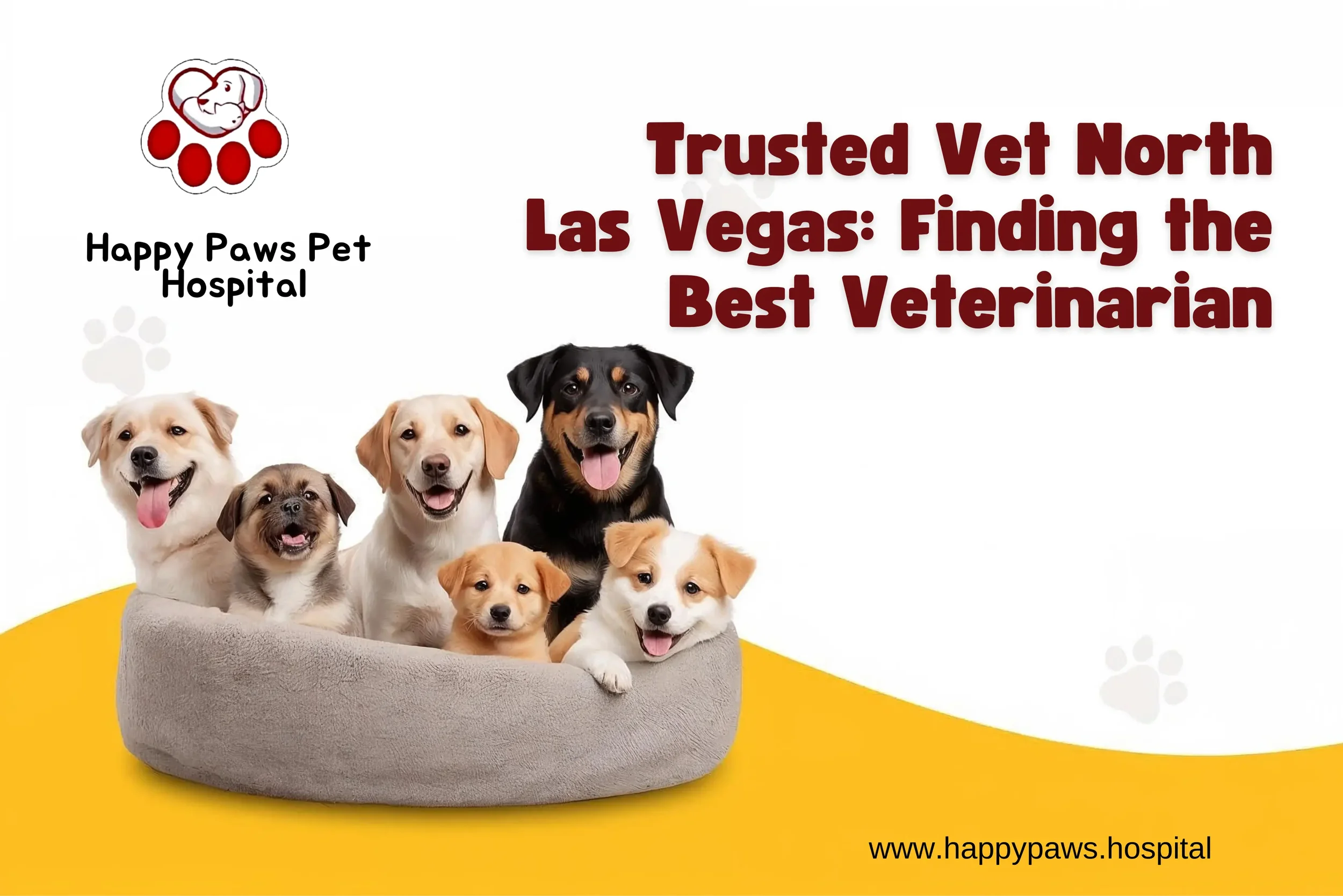 Trusted Vet North Las Vegas: Finding the Best Veterinarian