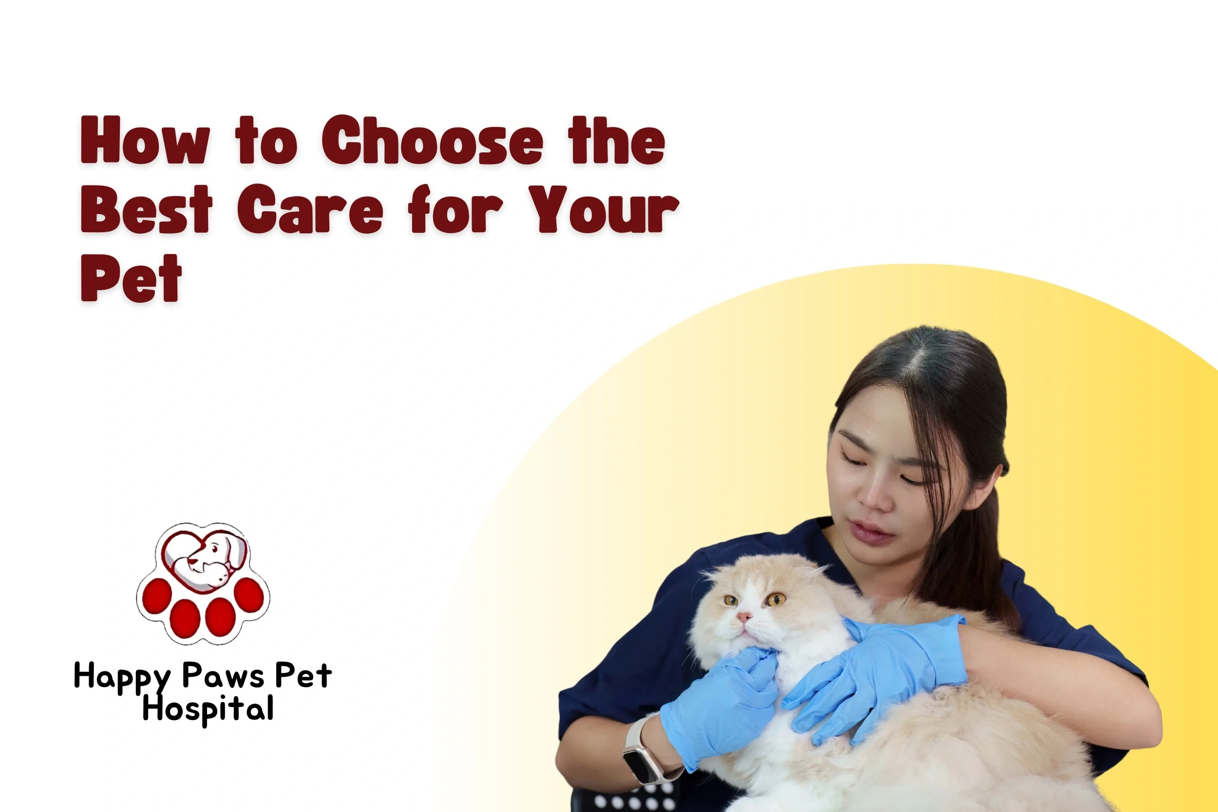 Veterinary Hospital Las Vegas: How to Choose the Best Care for Your Pet