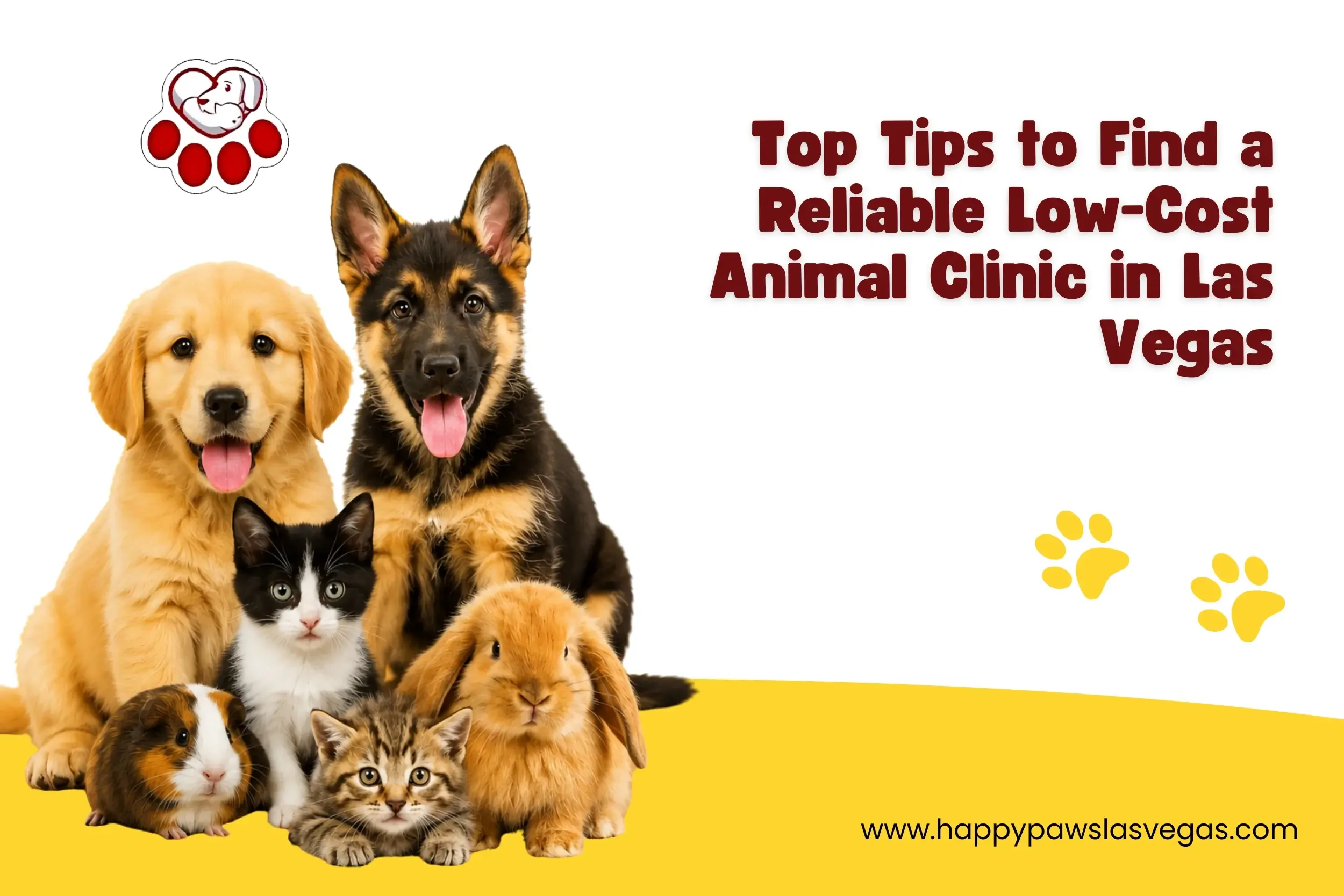 Top Tips to Find a Reliable Low-Cost Animal Clinic in Las Vegas