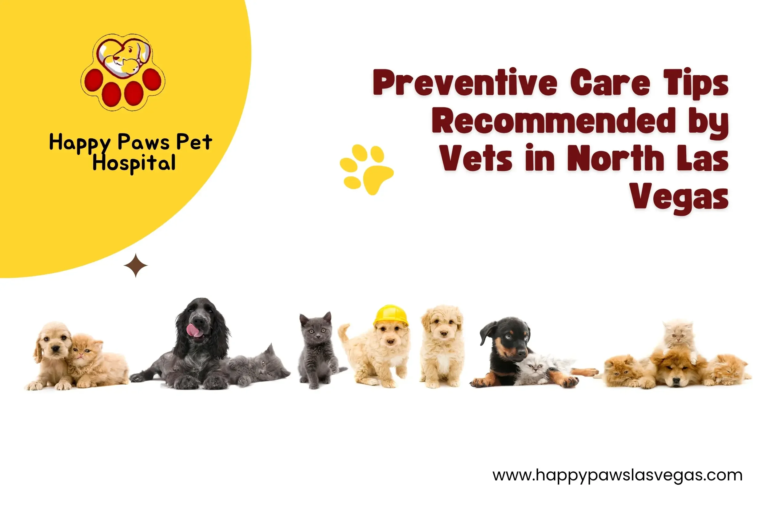Preventive Care Tips Recommended by Vets in North Las Vegas
